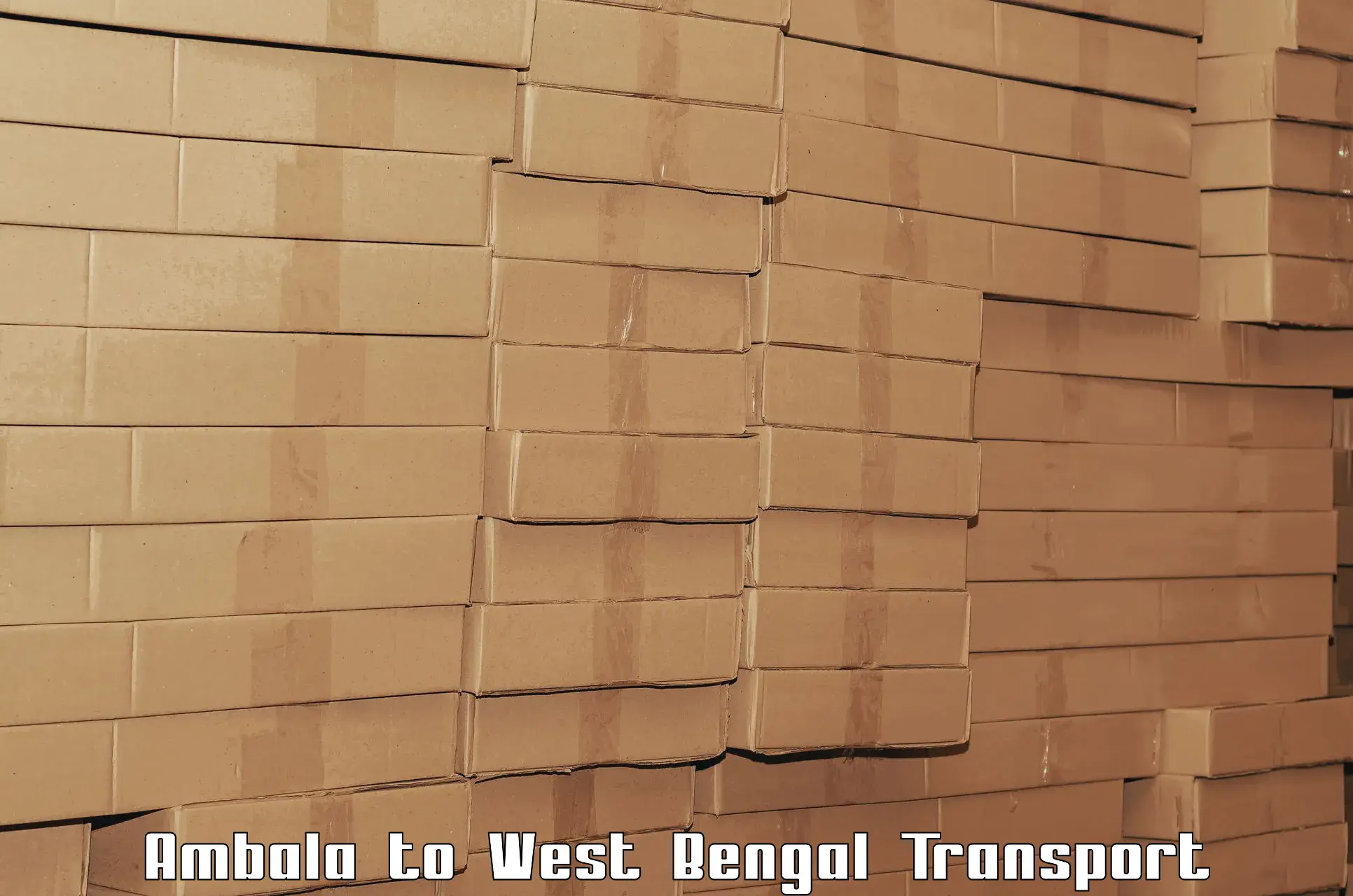 Online transport Ambala to Bolpur