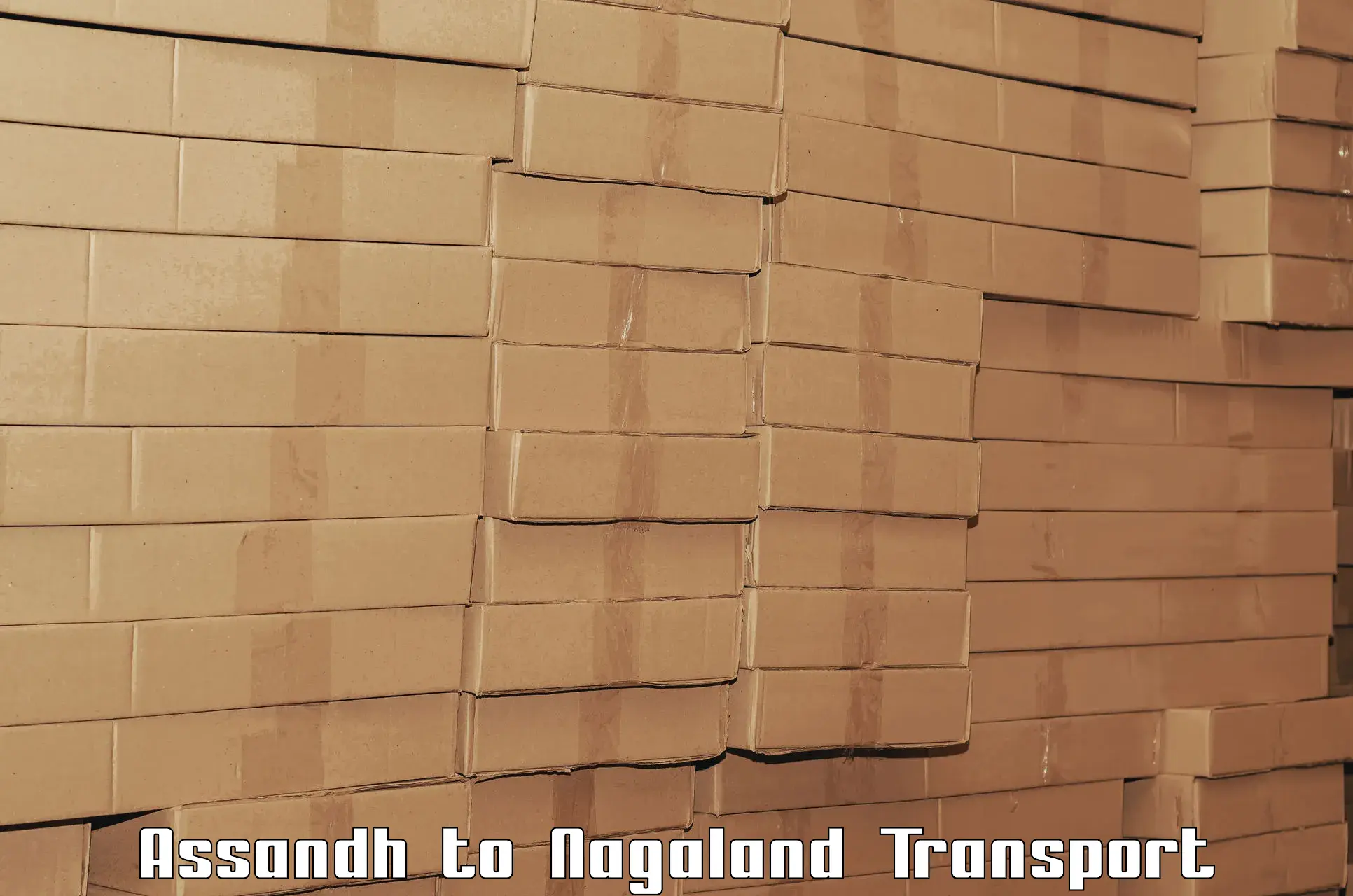 Interstate goods transport Assandh to Wokha