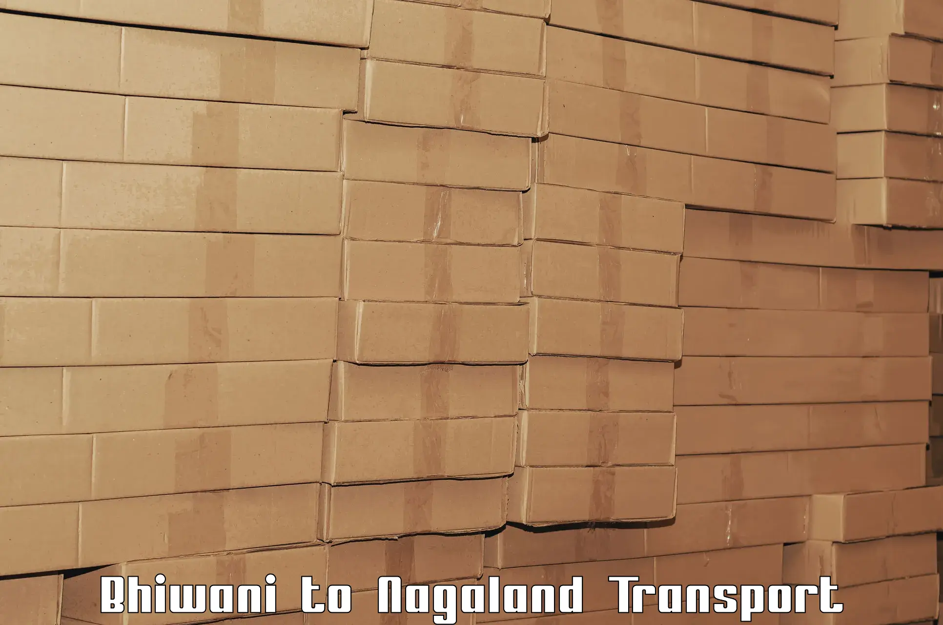 International cargo transportation services Bhiwani to Longleng