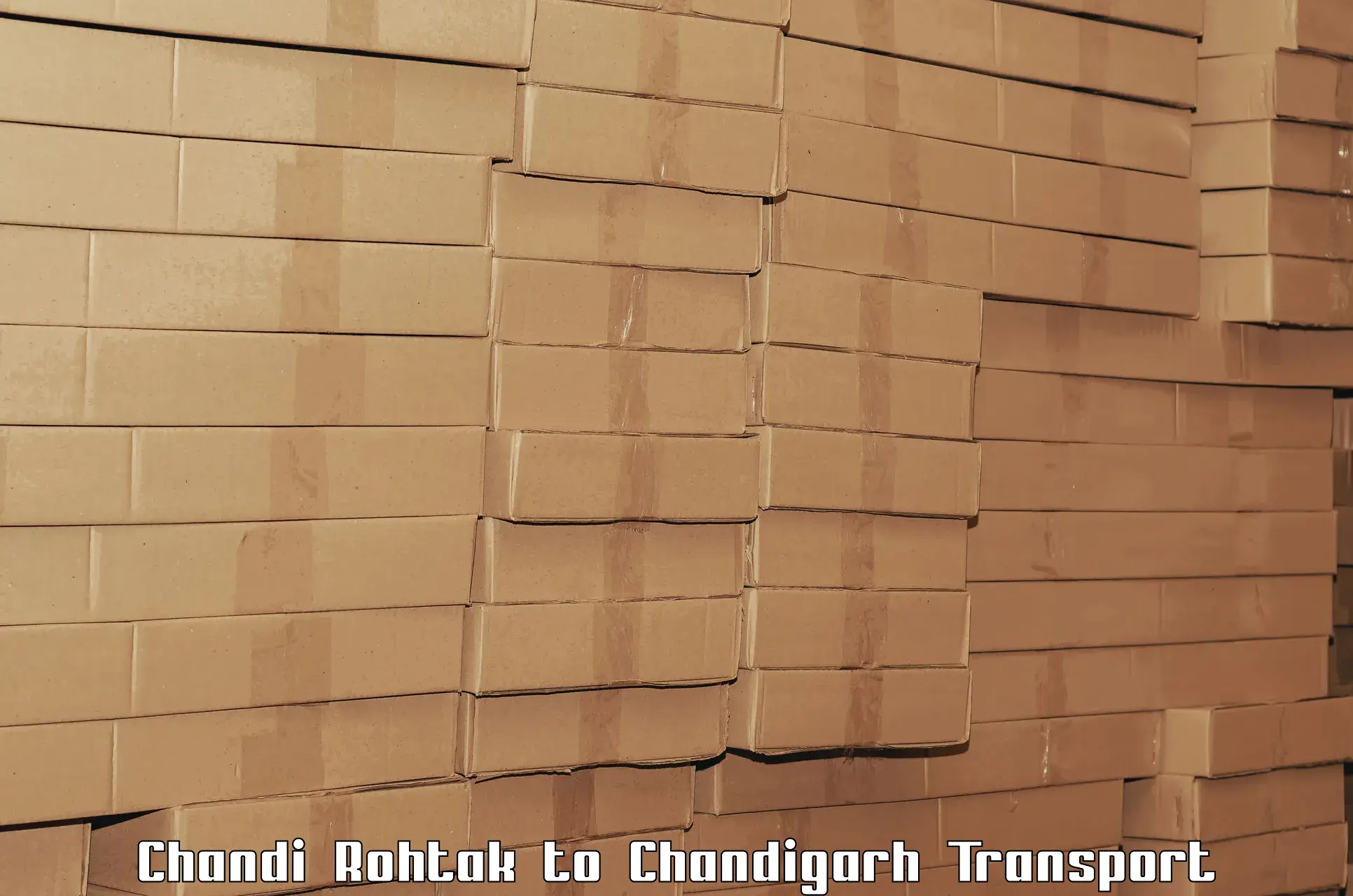 Goods delivery service Chandi Rohtak to Chandigarh