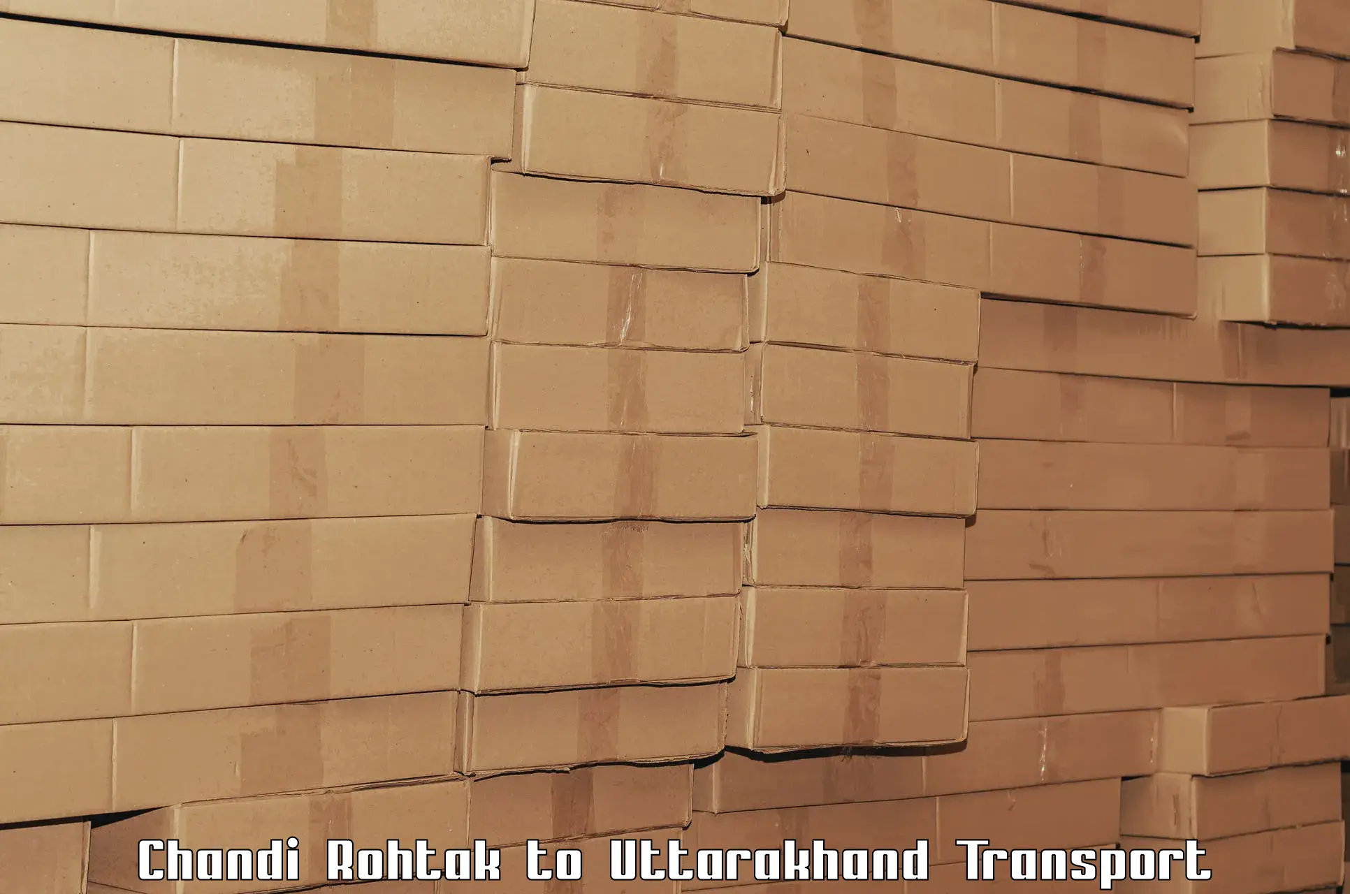 Transport in sharing Chandi Rohtak to Dehradun