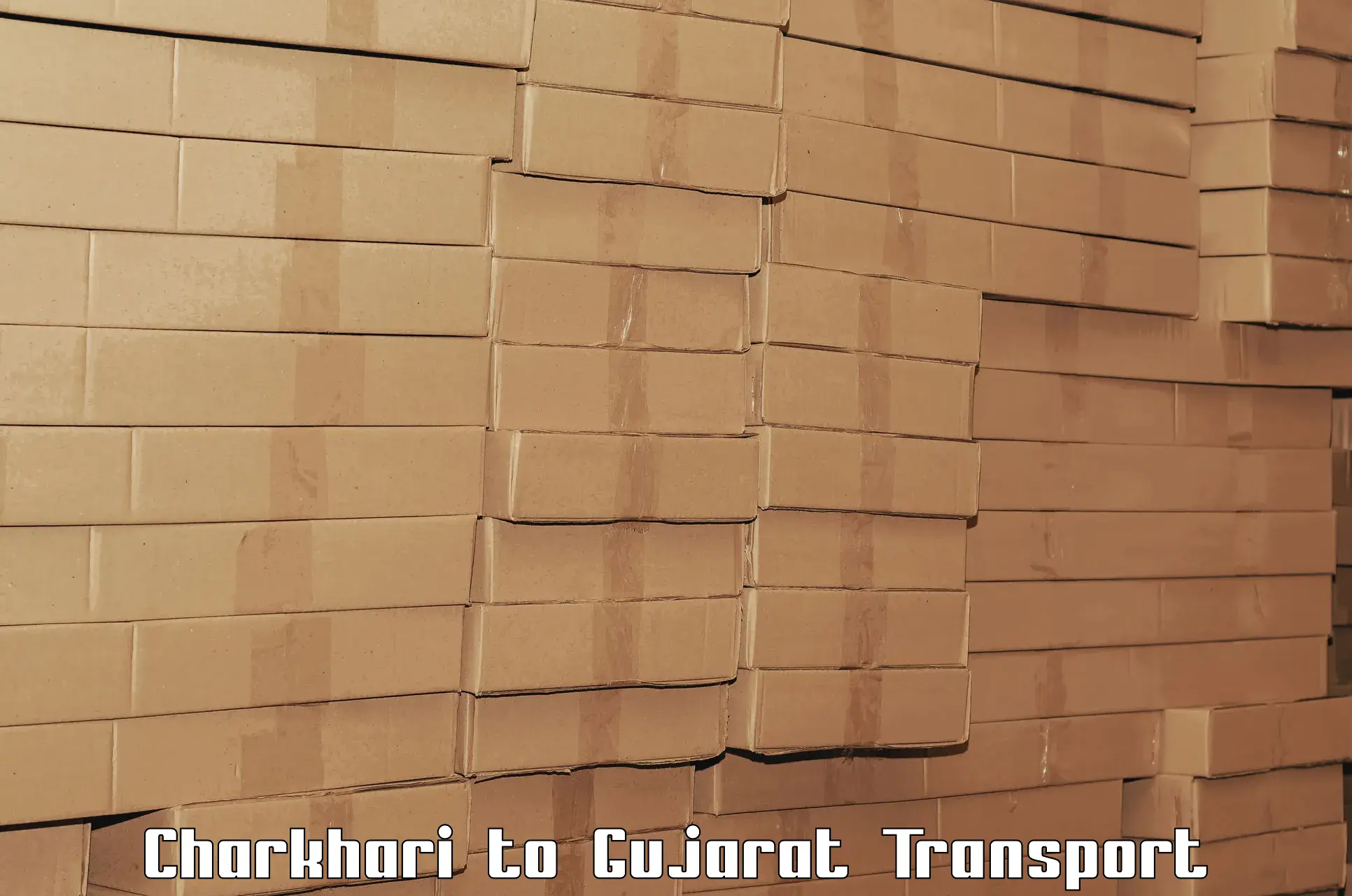 International cargo transportation services Charkhari to Palitana