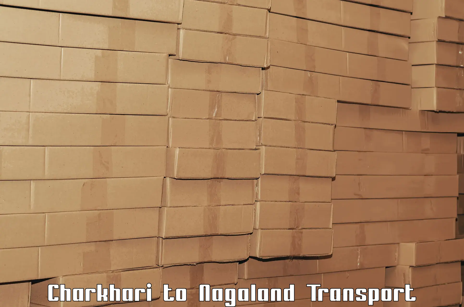 Cargo transport services Charkhari to Longleng