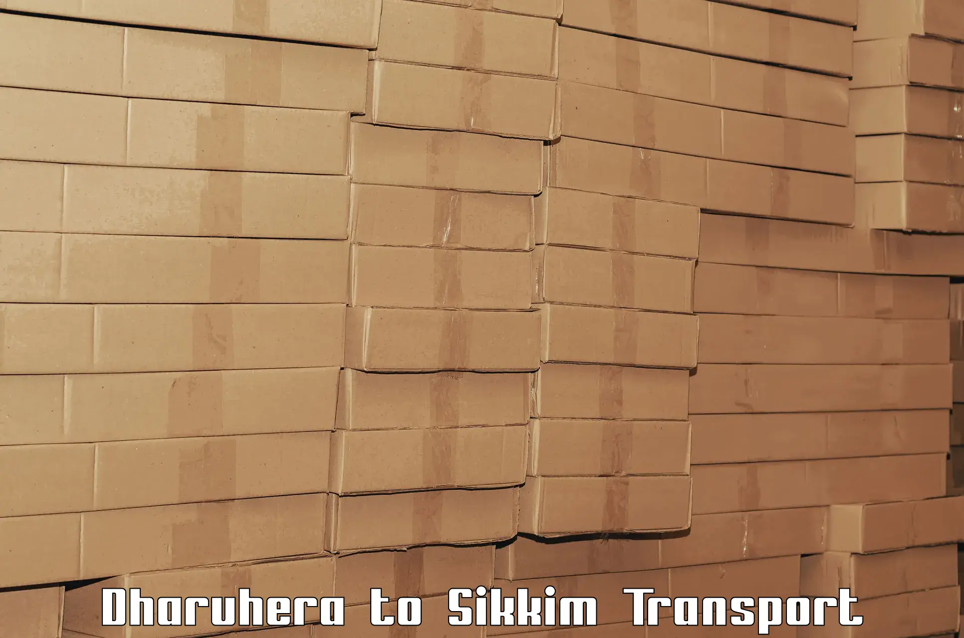 International cargo transportation services in Dharuhera to South Sikkim