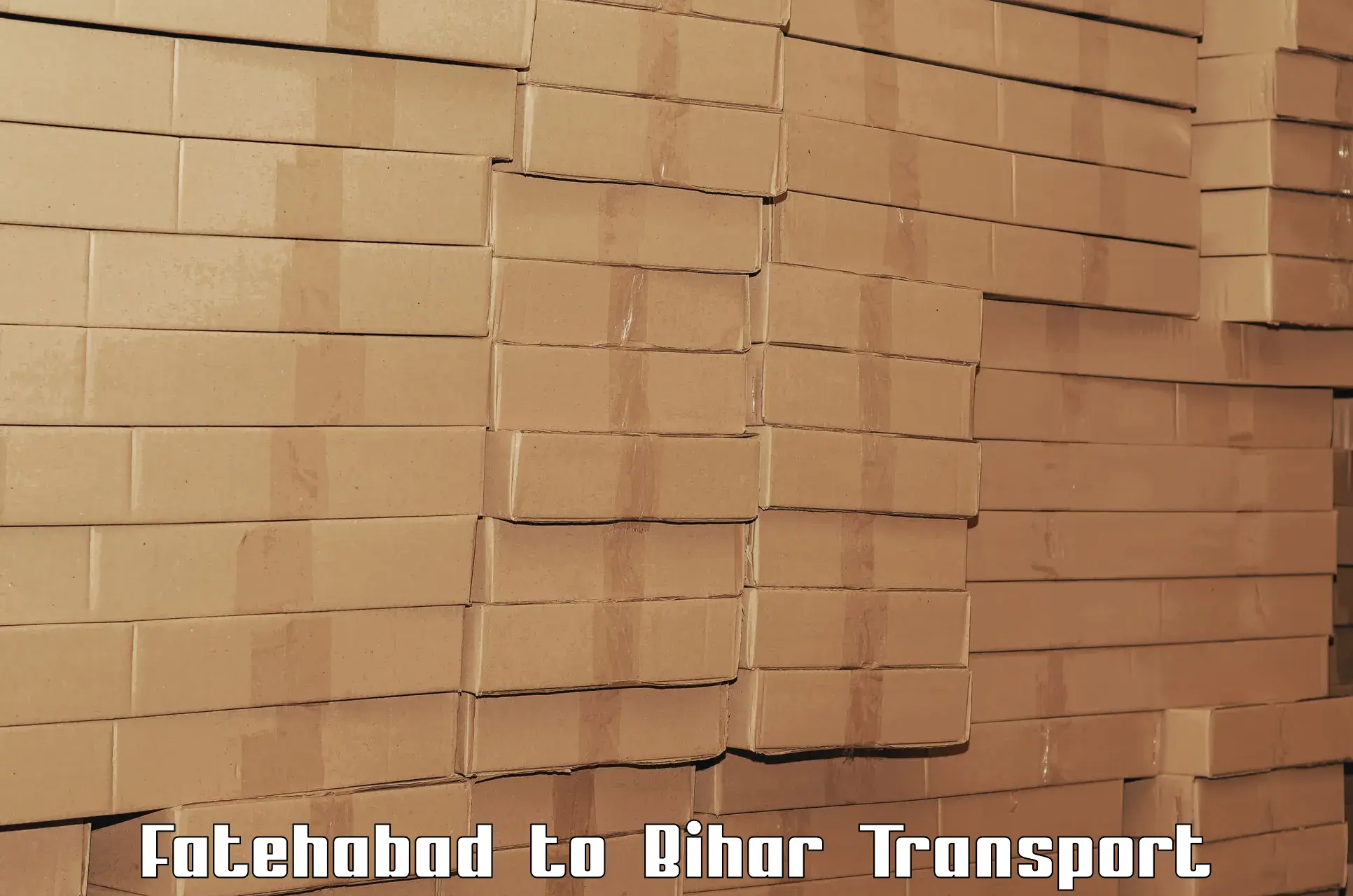 All India transport service Fatehabad to Tribeniganj