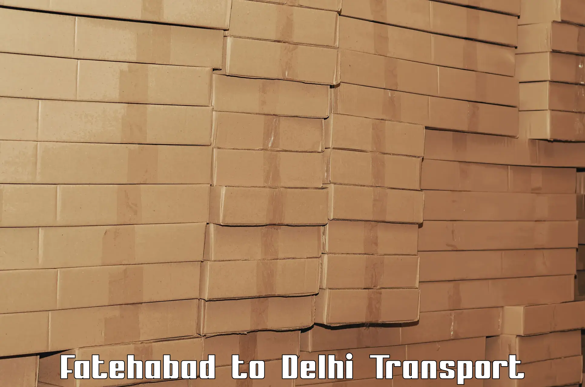 Parcel transport services Fatehabad to NIT Delhi