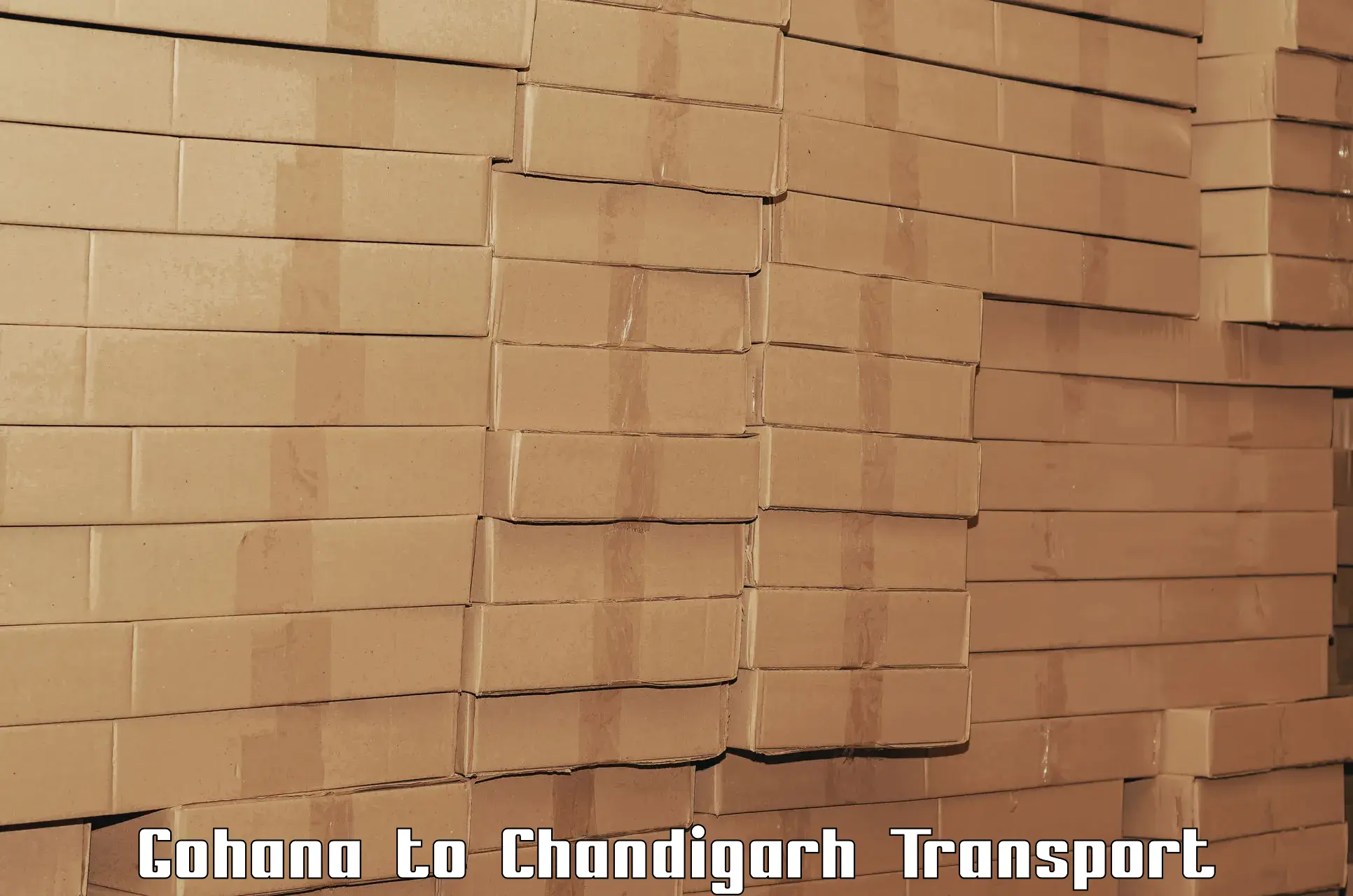 Air cargo transport services Gohana to Chandigarh