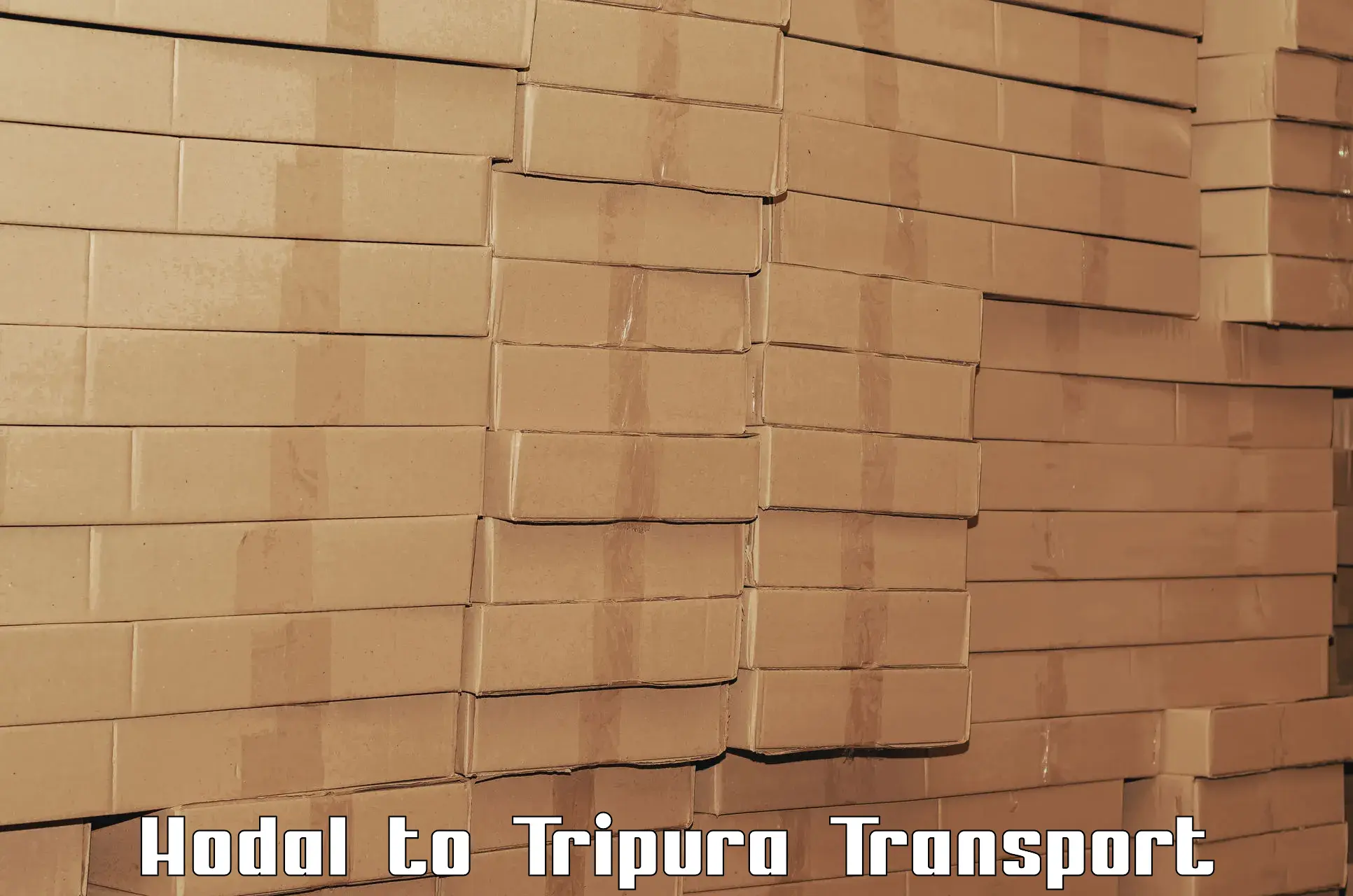 Cargo transport services Hodal to South Tripura
