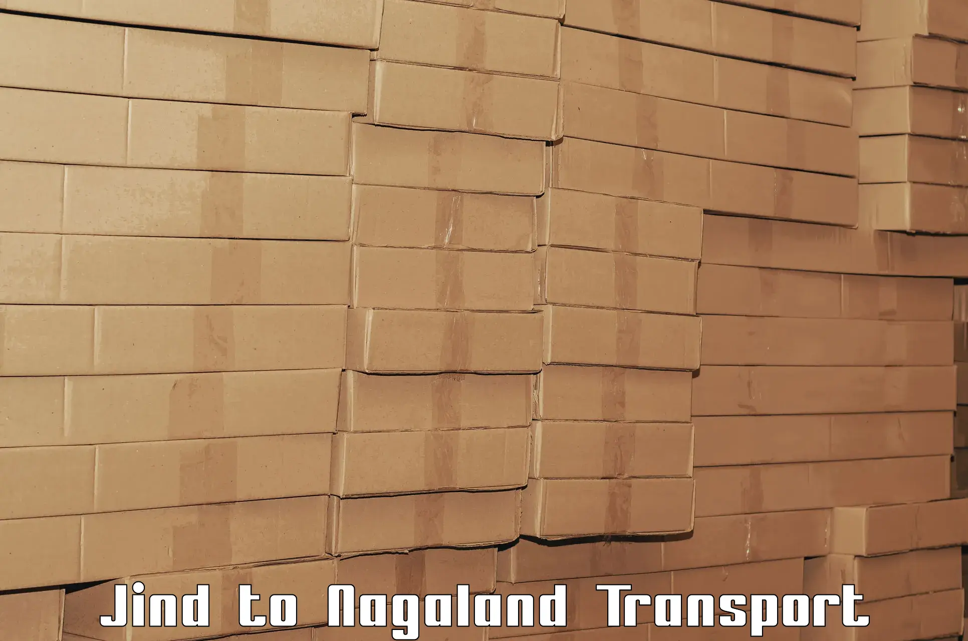 International cargo transportation services Jind to Longleng