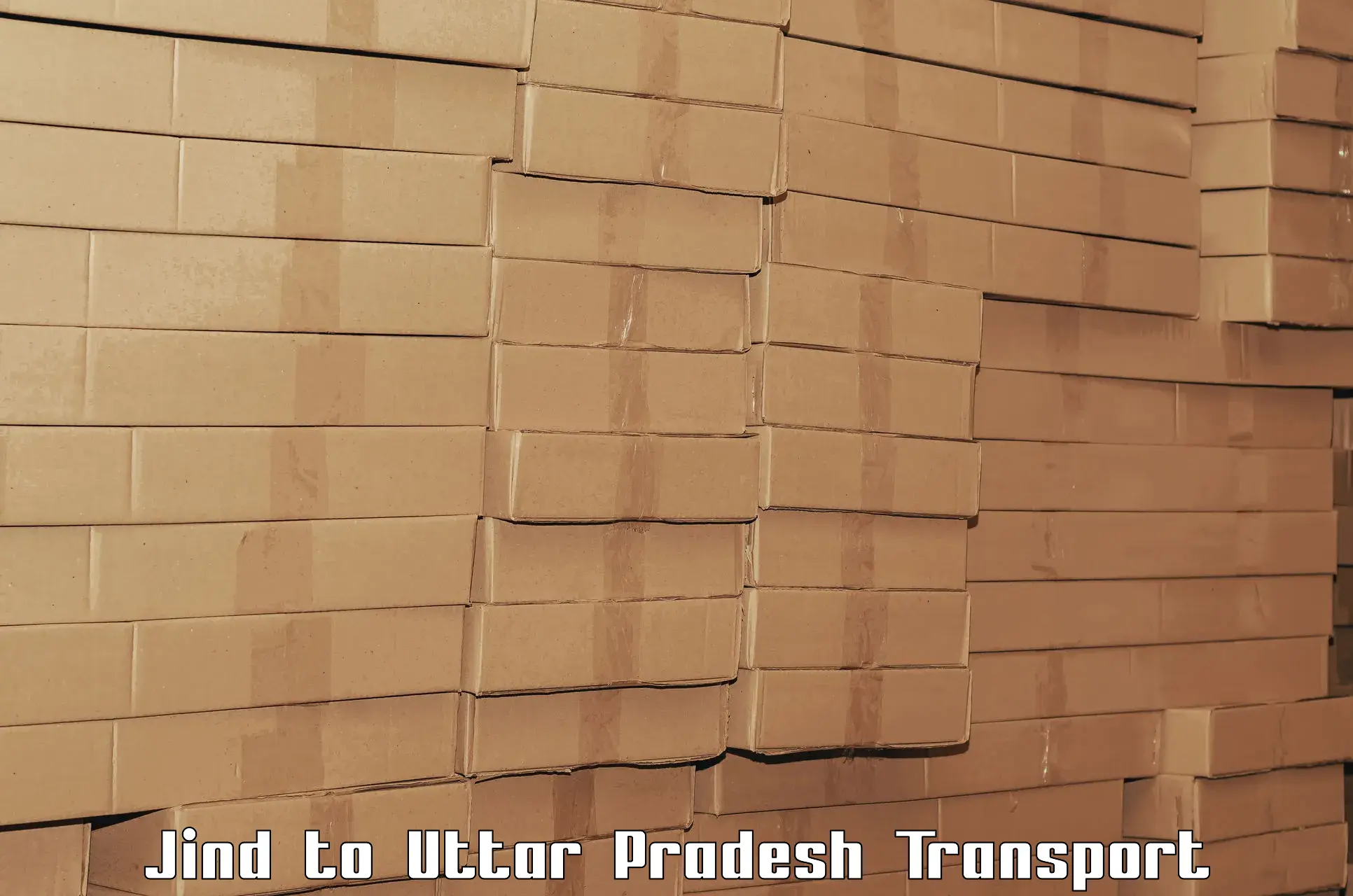 Cargo transport services in Jind to Ratanpura