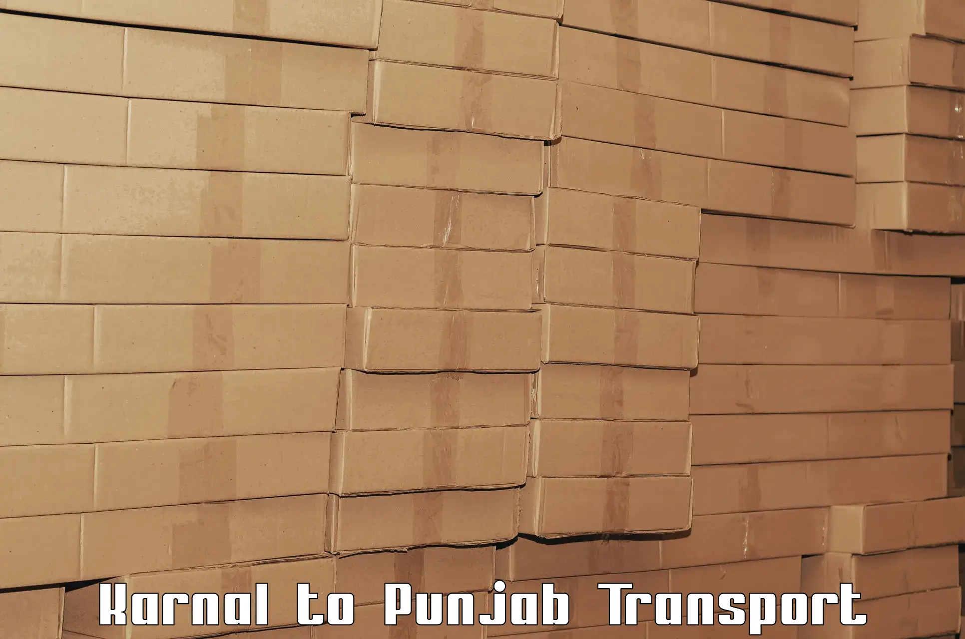 Logistics transportation services in Karnal to Thapar Institute of Engineering and Technology Patiala