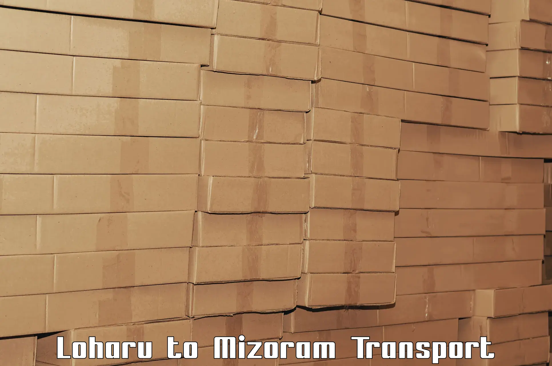 Goods transport services in Loharu to Mizoram University Aizawl