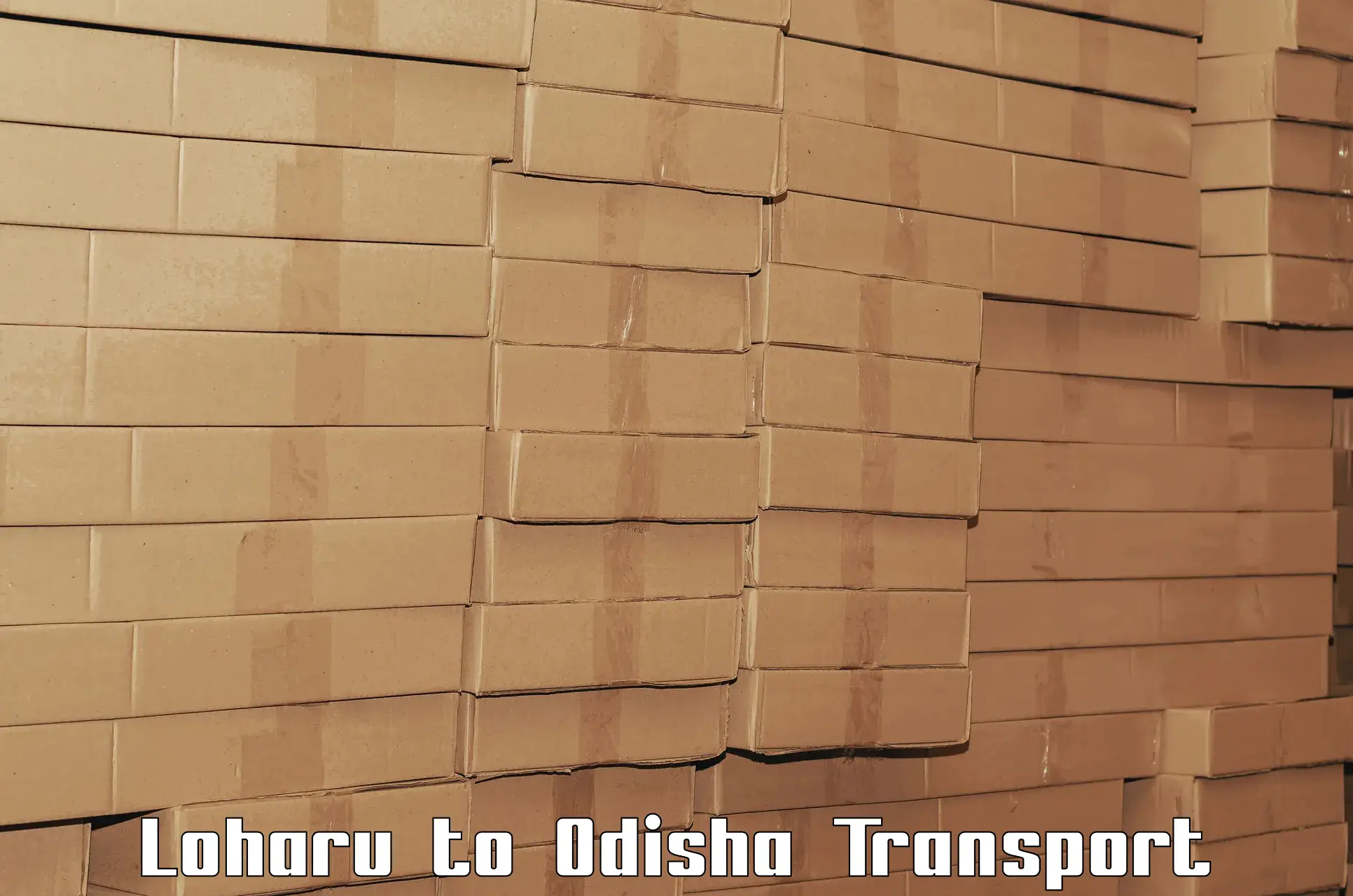 Online transport Loharu to Odisha