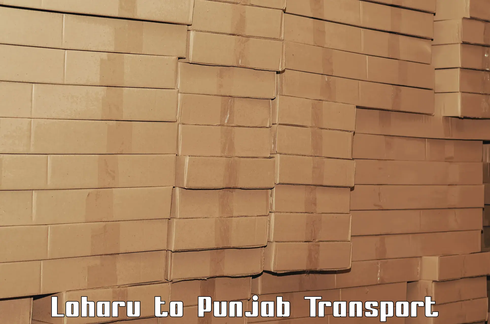 Cargo transport services Loharu to Punjab