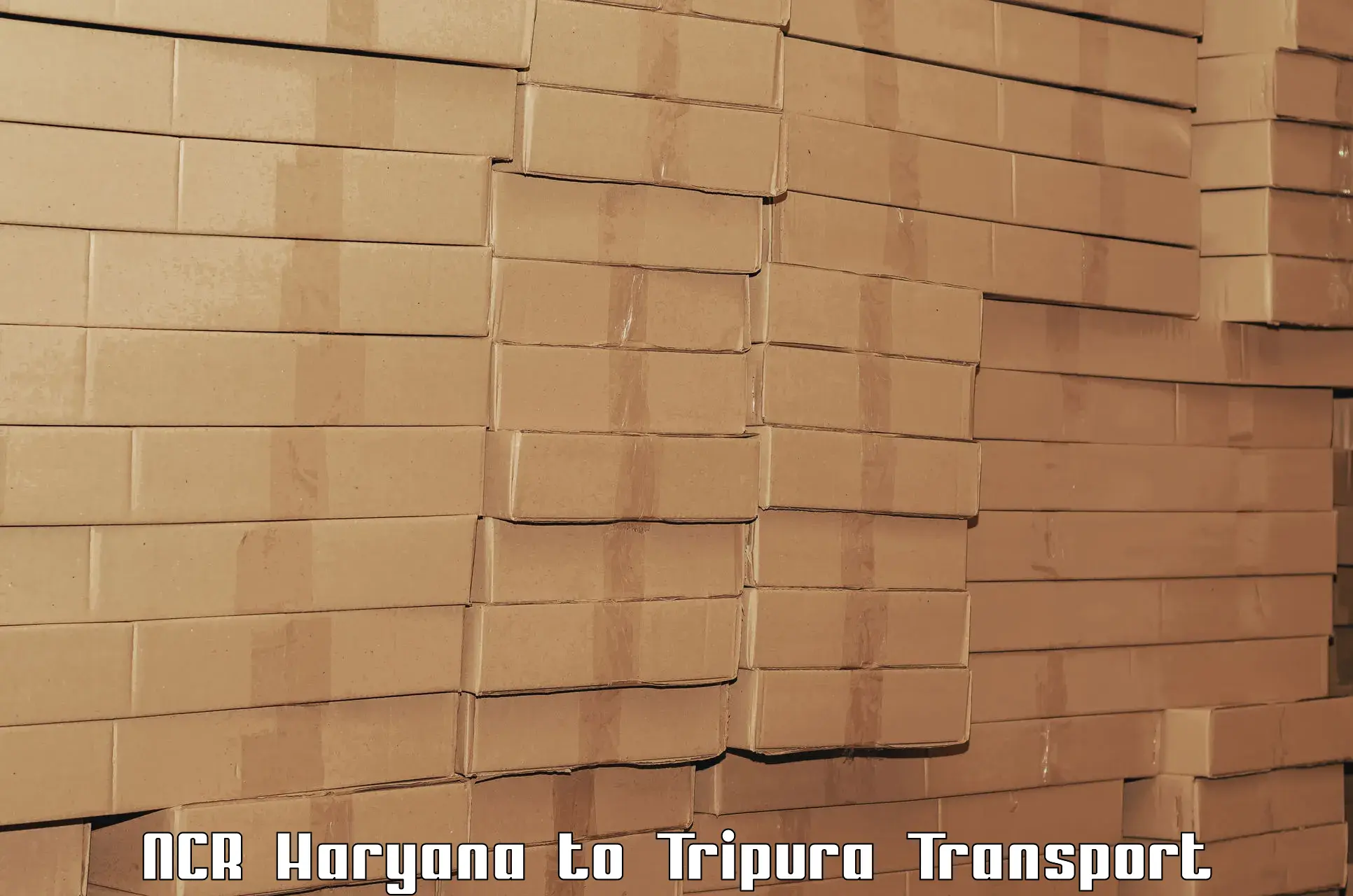 Cargo transport services NCR Haryana to West Tripura