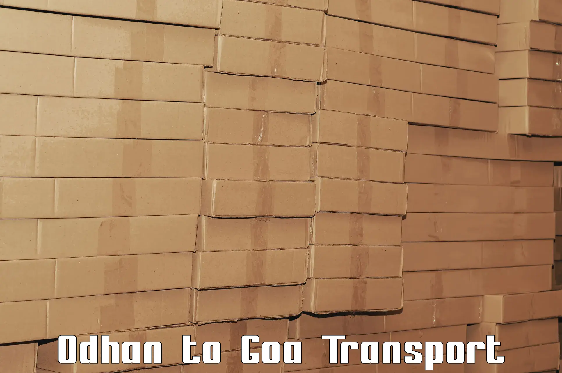 International cargo transportation services Odhan to Sanvordem