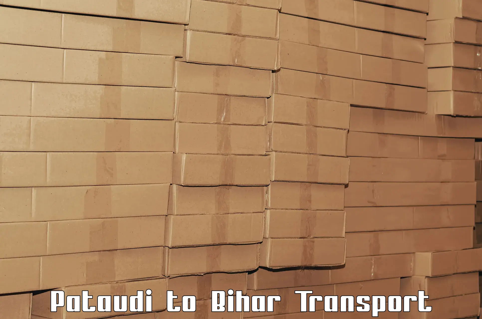 Logistics transportation services Pataudi to Motipur