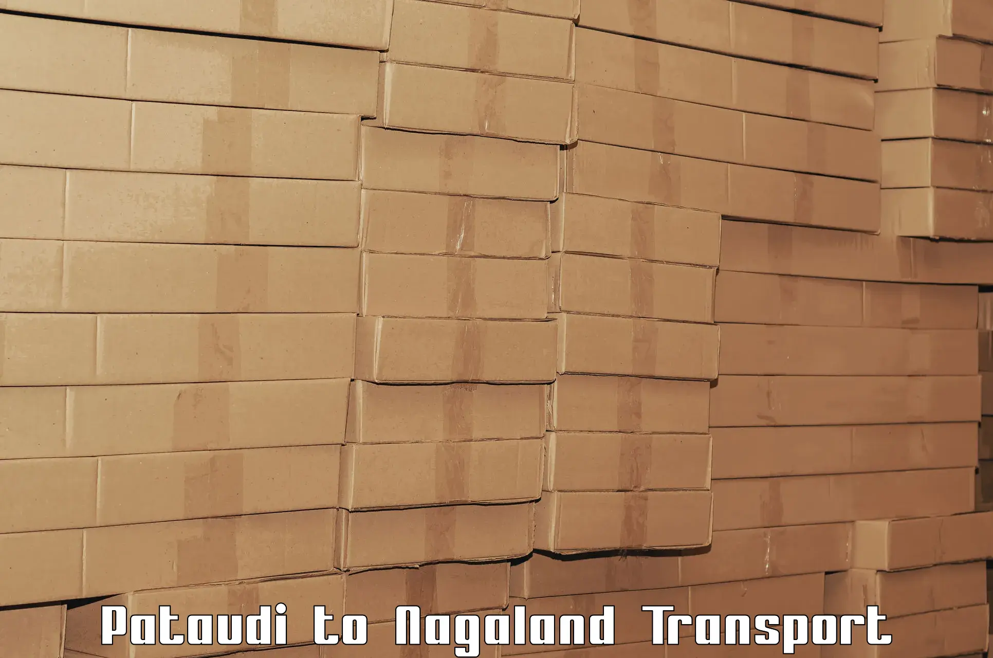 Daily parcel service transport Pataudi to Longleng