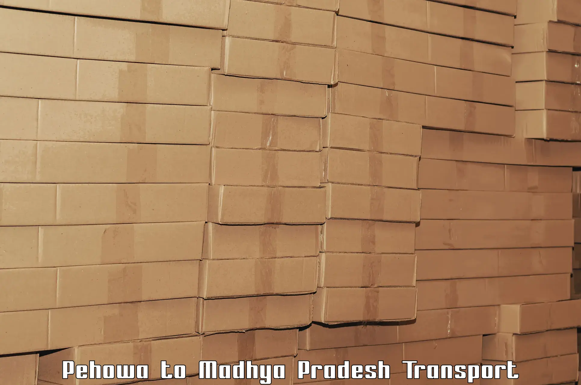 Container transportation services Pehowa to Madhya Pradesh