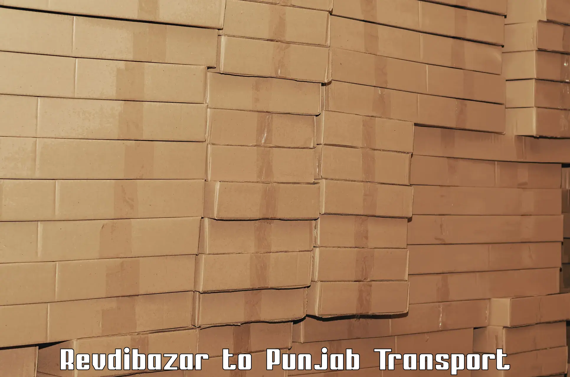 Intercity goods transport Revdibazar to Punjab