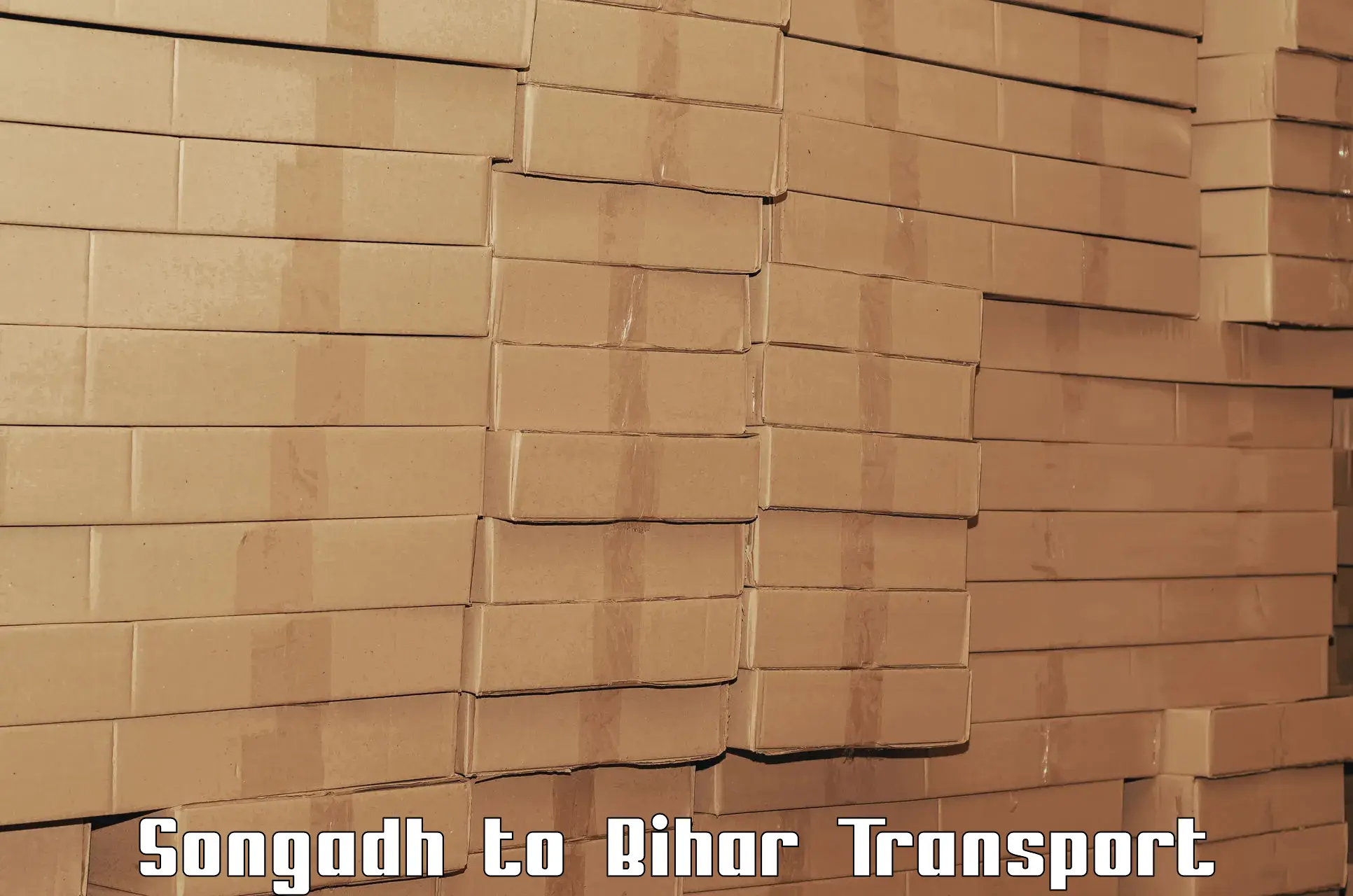 Domestic goods transportation services Songadh to NIT Patna