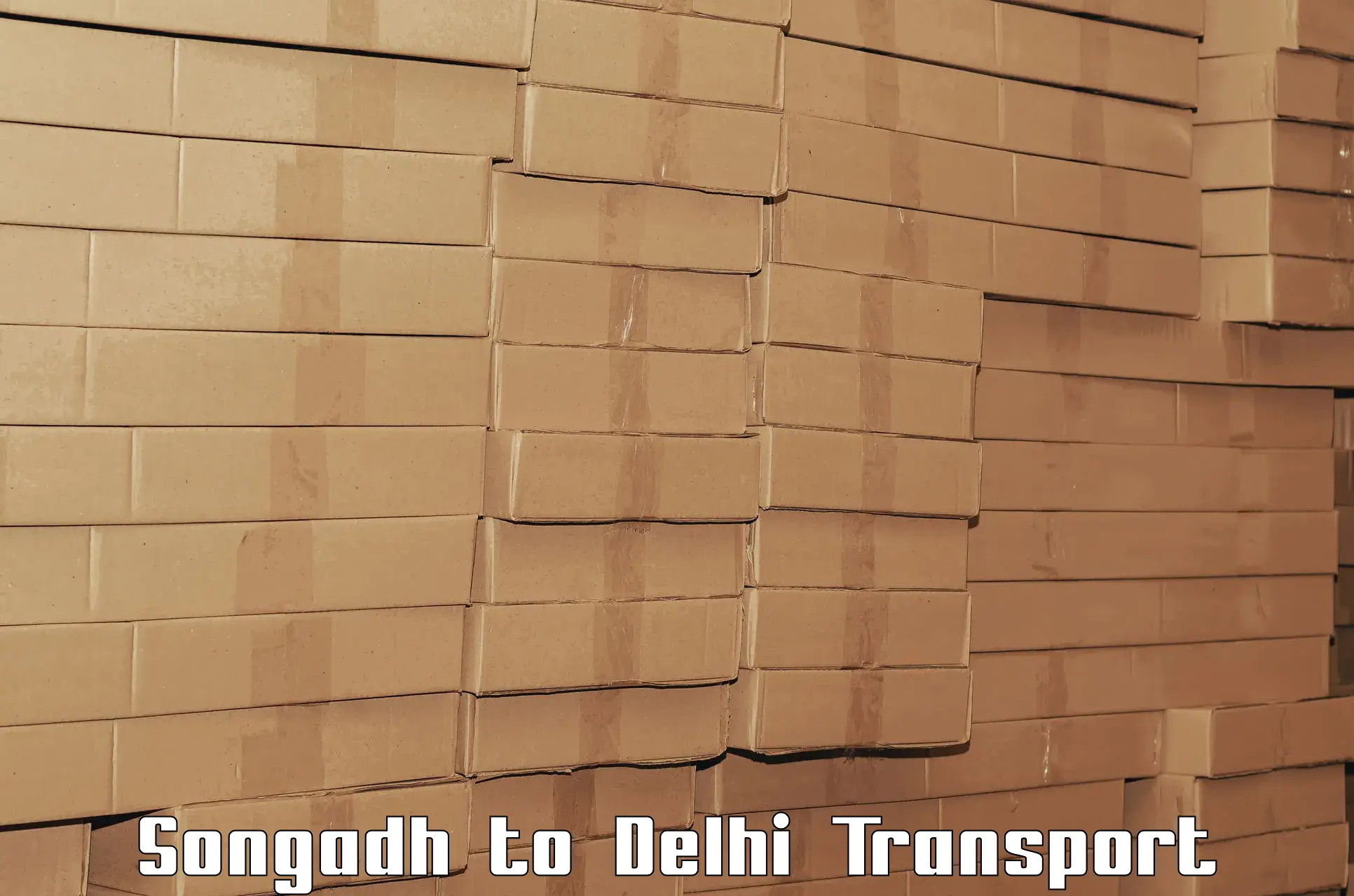 All India transport service Songadh to Delhi