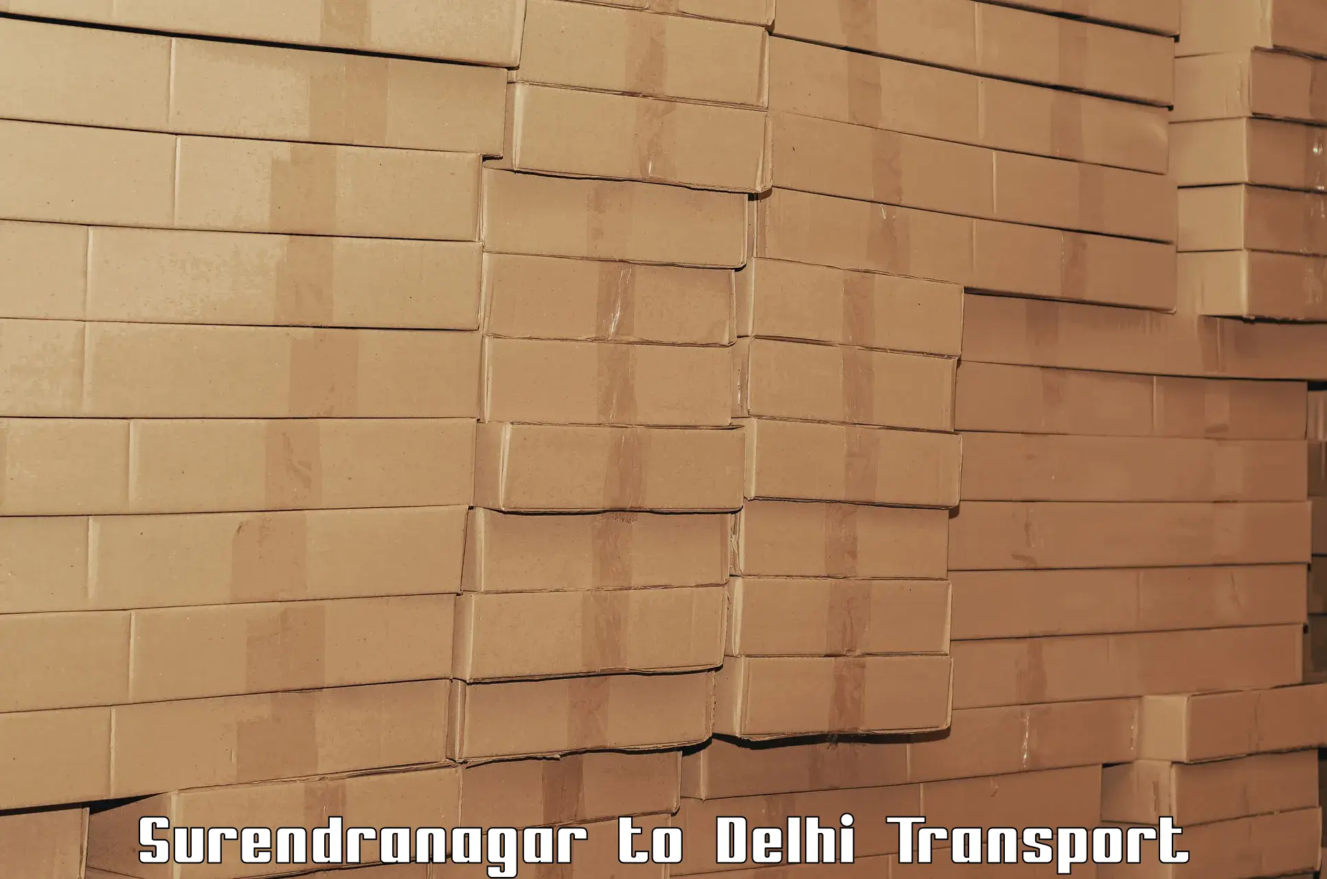 Online transport Surendranagar to University of Delhi