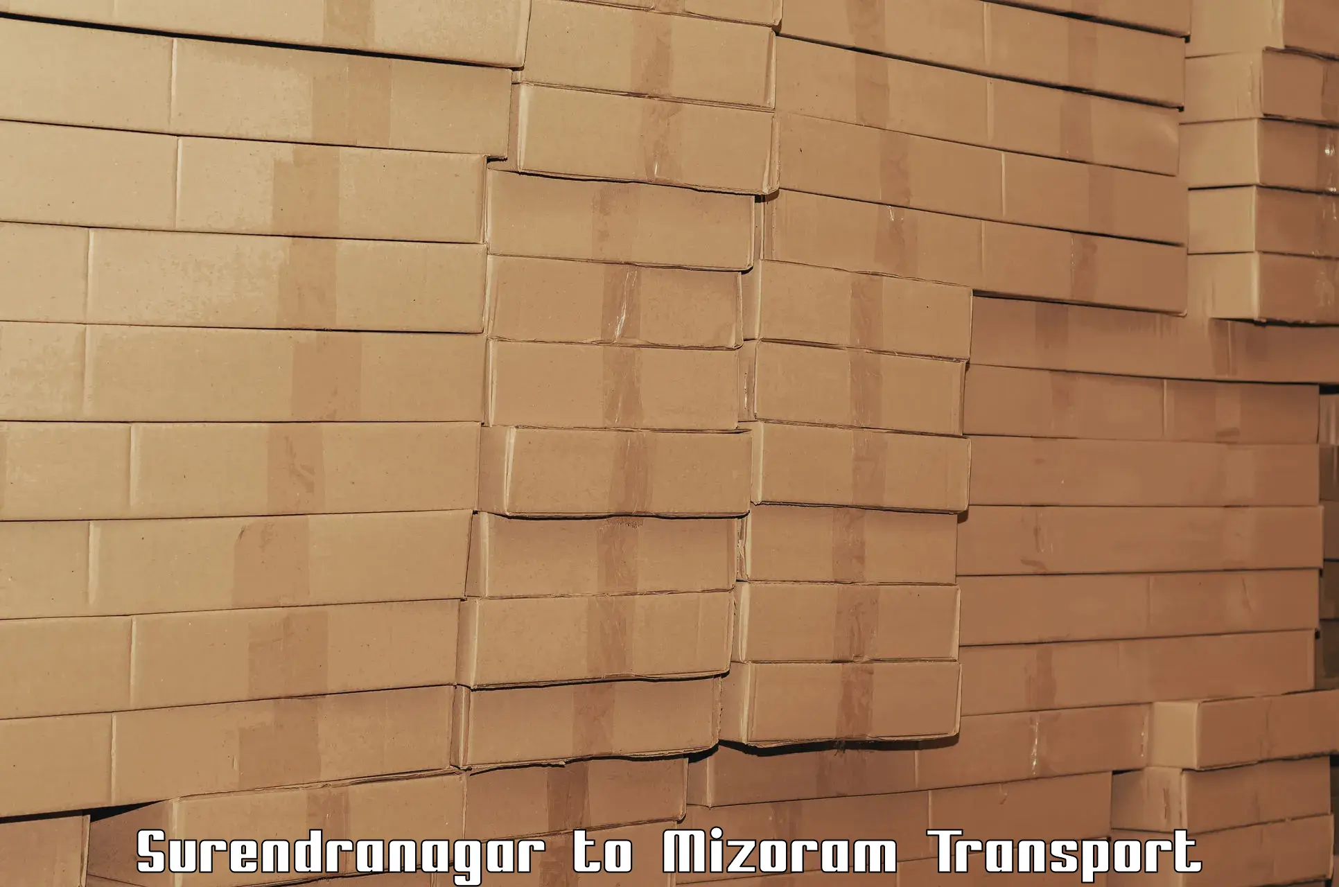 Material transport services Surendranagar to Thenzawl