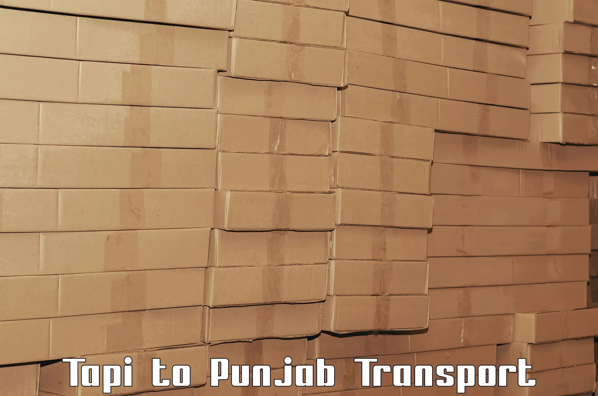 Land transport services Tapi to Guru Nanak Dev University Amritsar