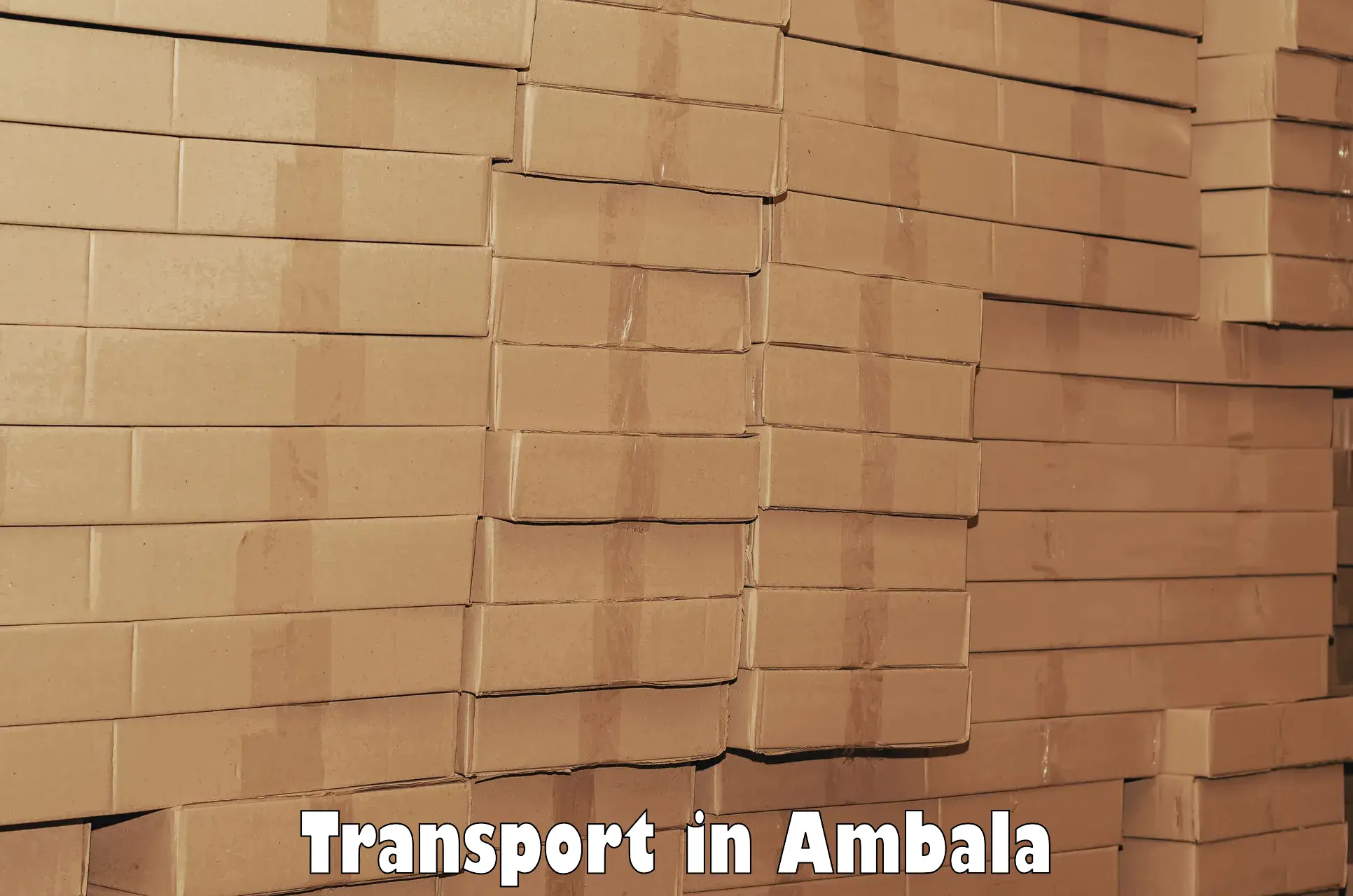 Inland transportation services in Ambala