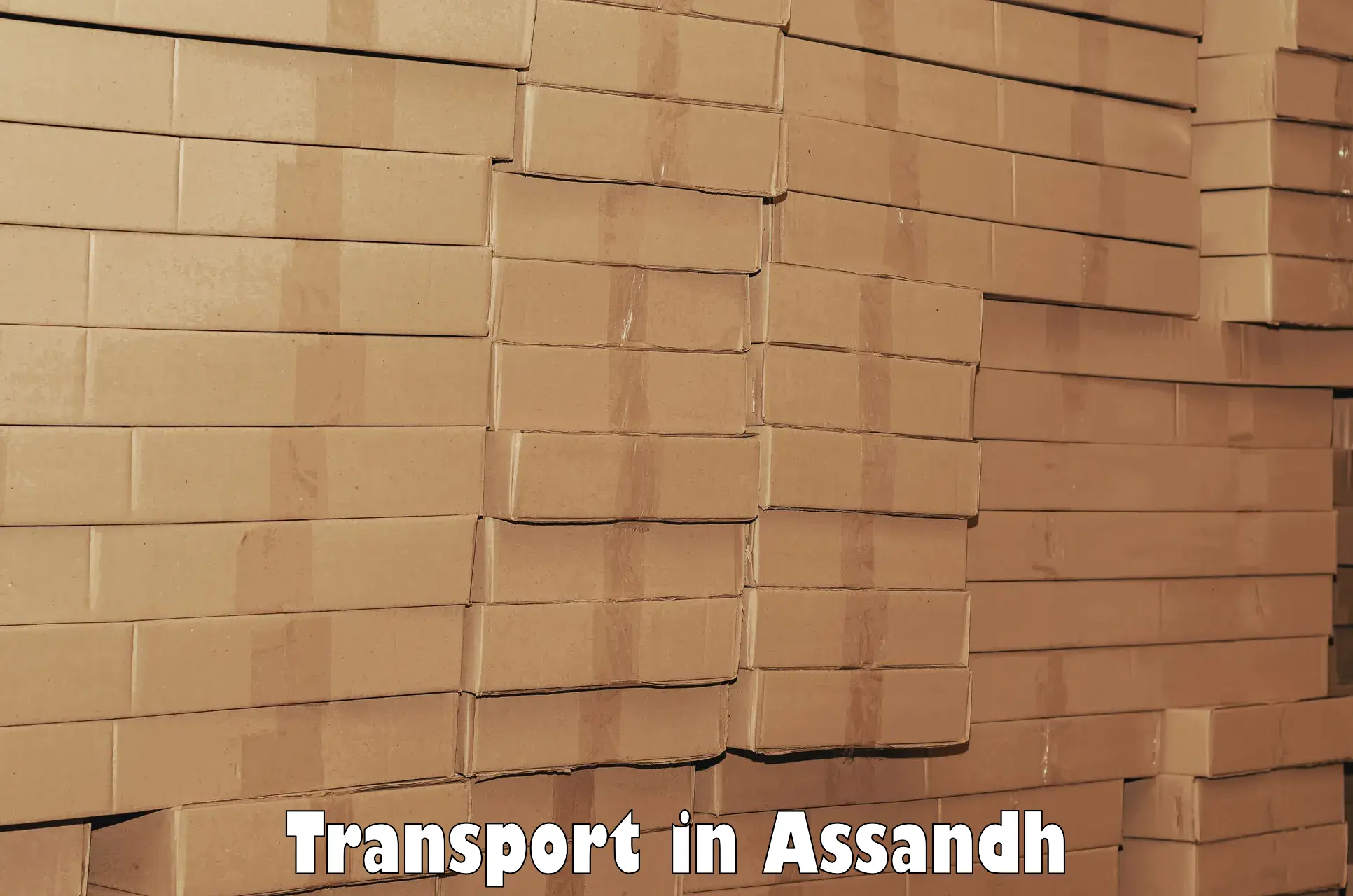 Luggage transport services in Assandh