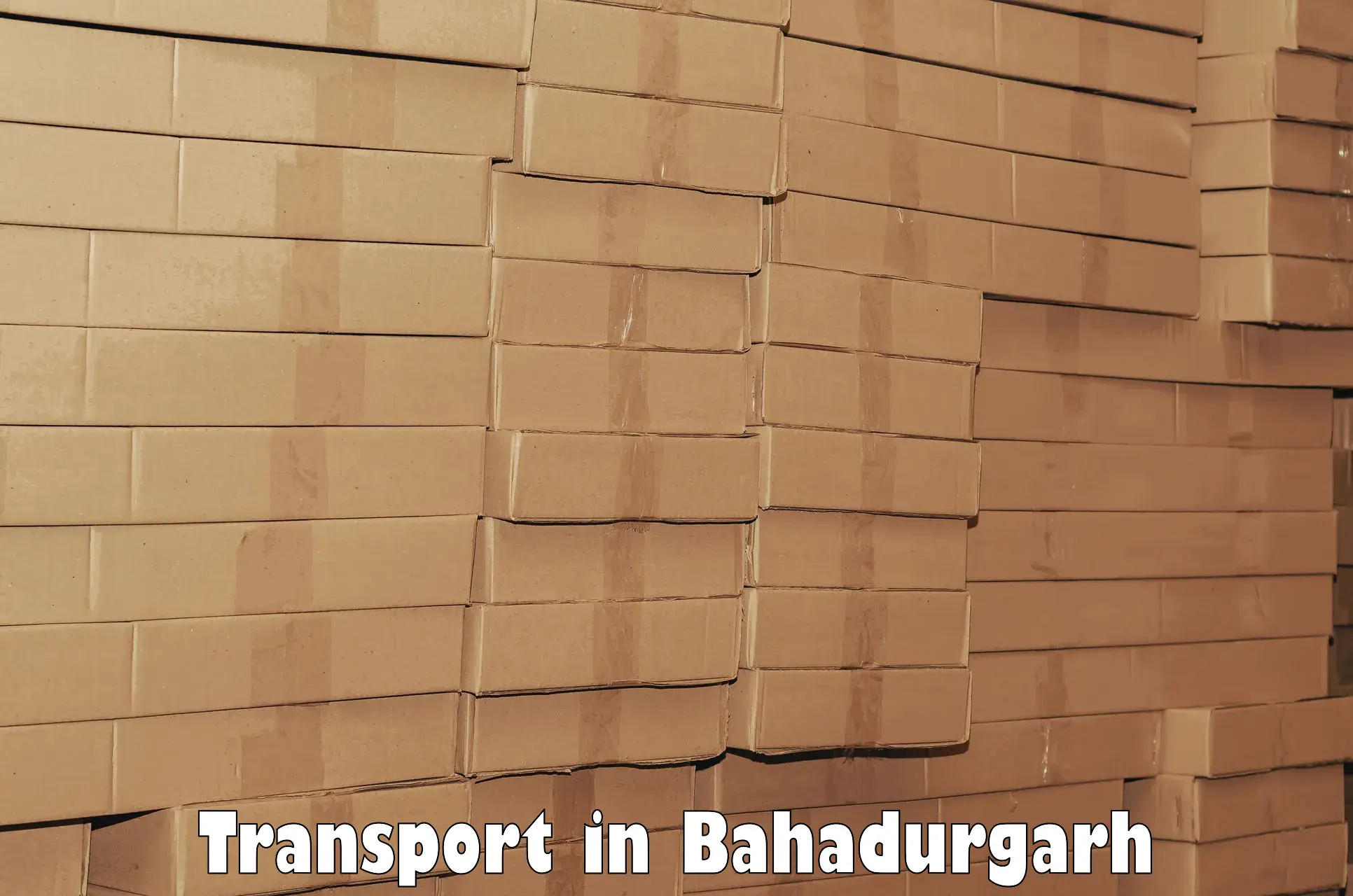 Lorry transport service in Bahadurgarh