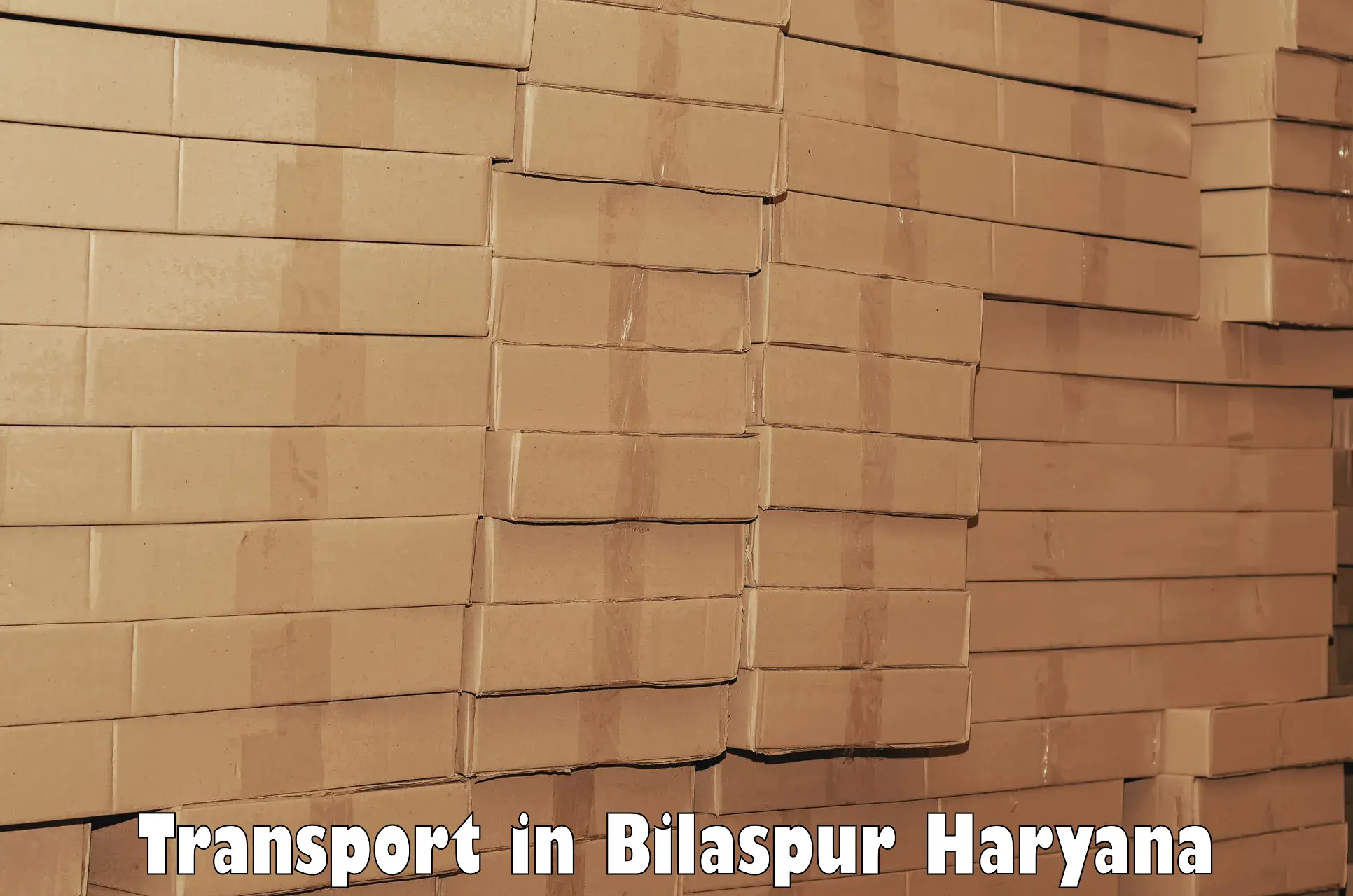 Vehicle parcel service in Bilaspur Haryana