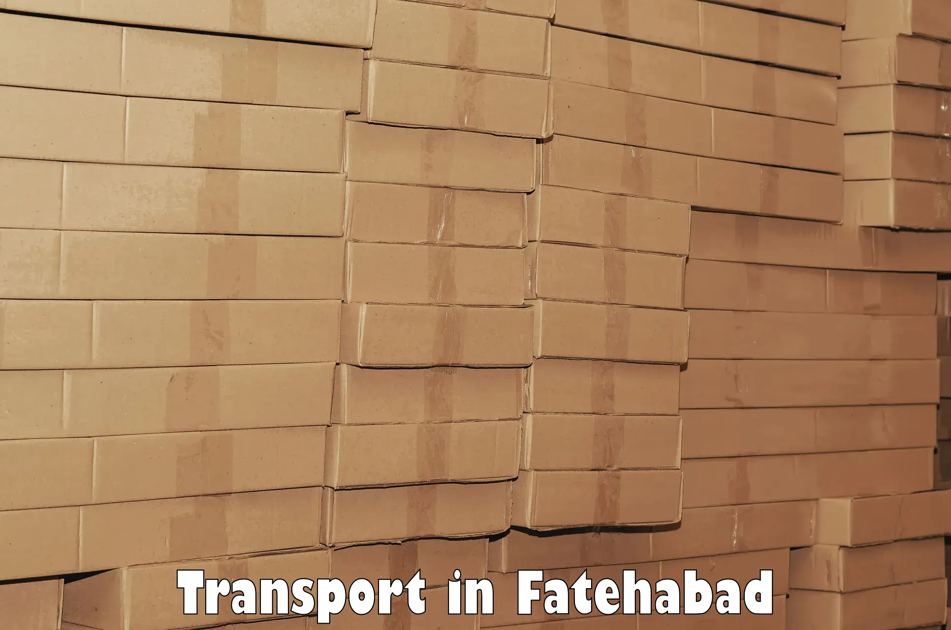 Lorry transport service in Fatehabad