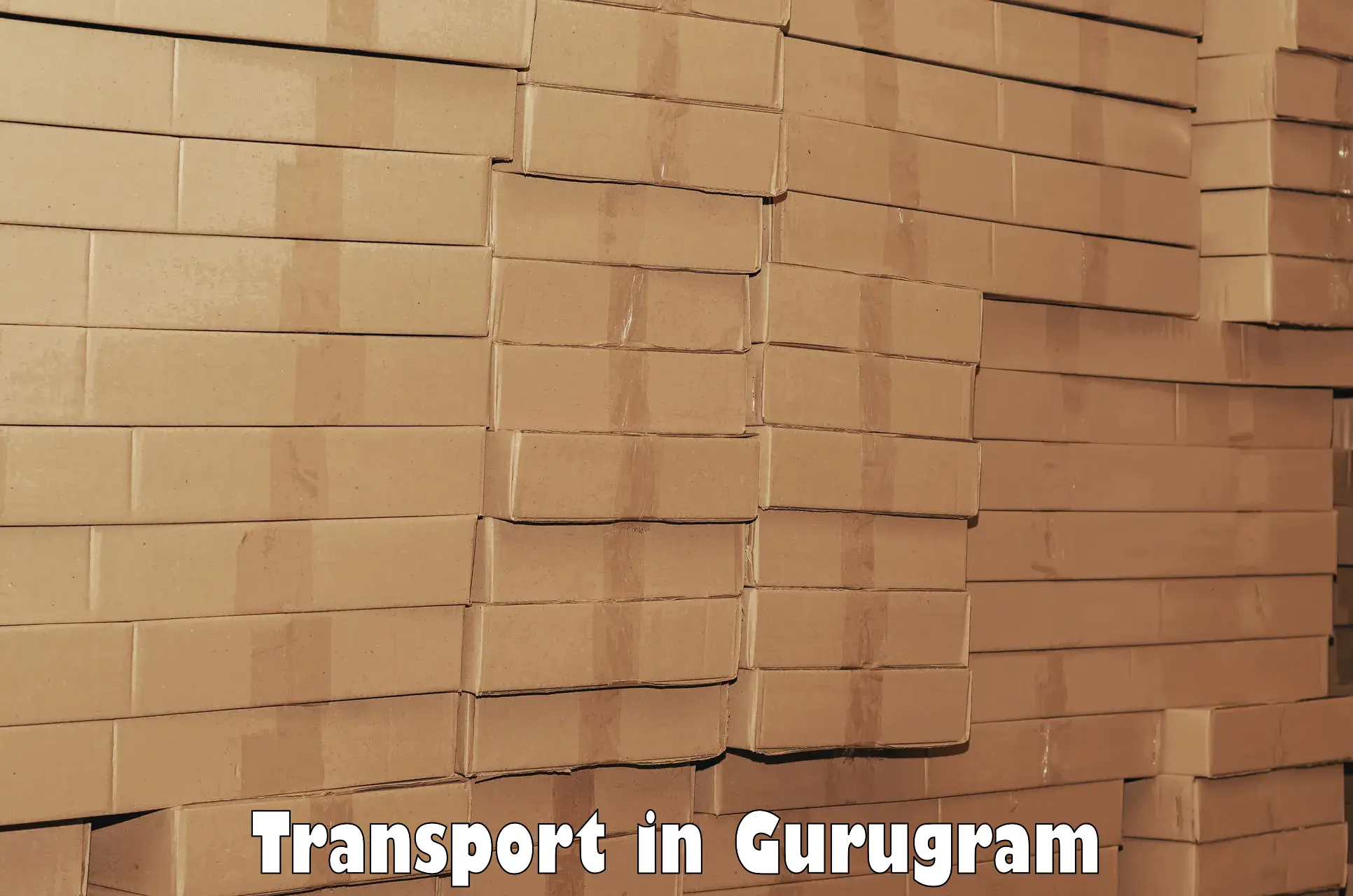 Goods delivery service in Gurugram