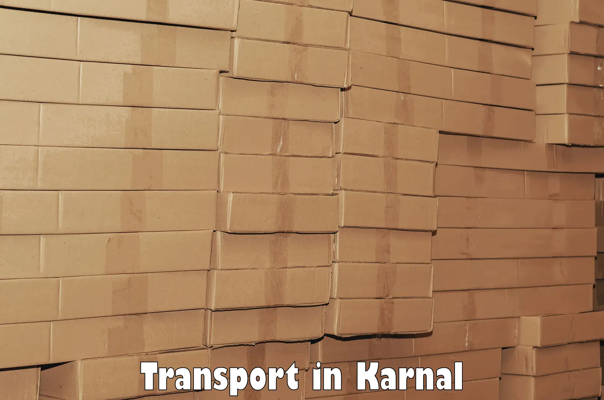 Package delivery services in Karnal
