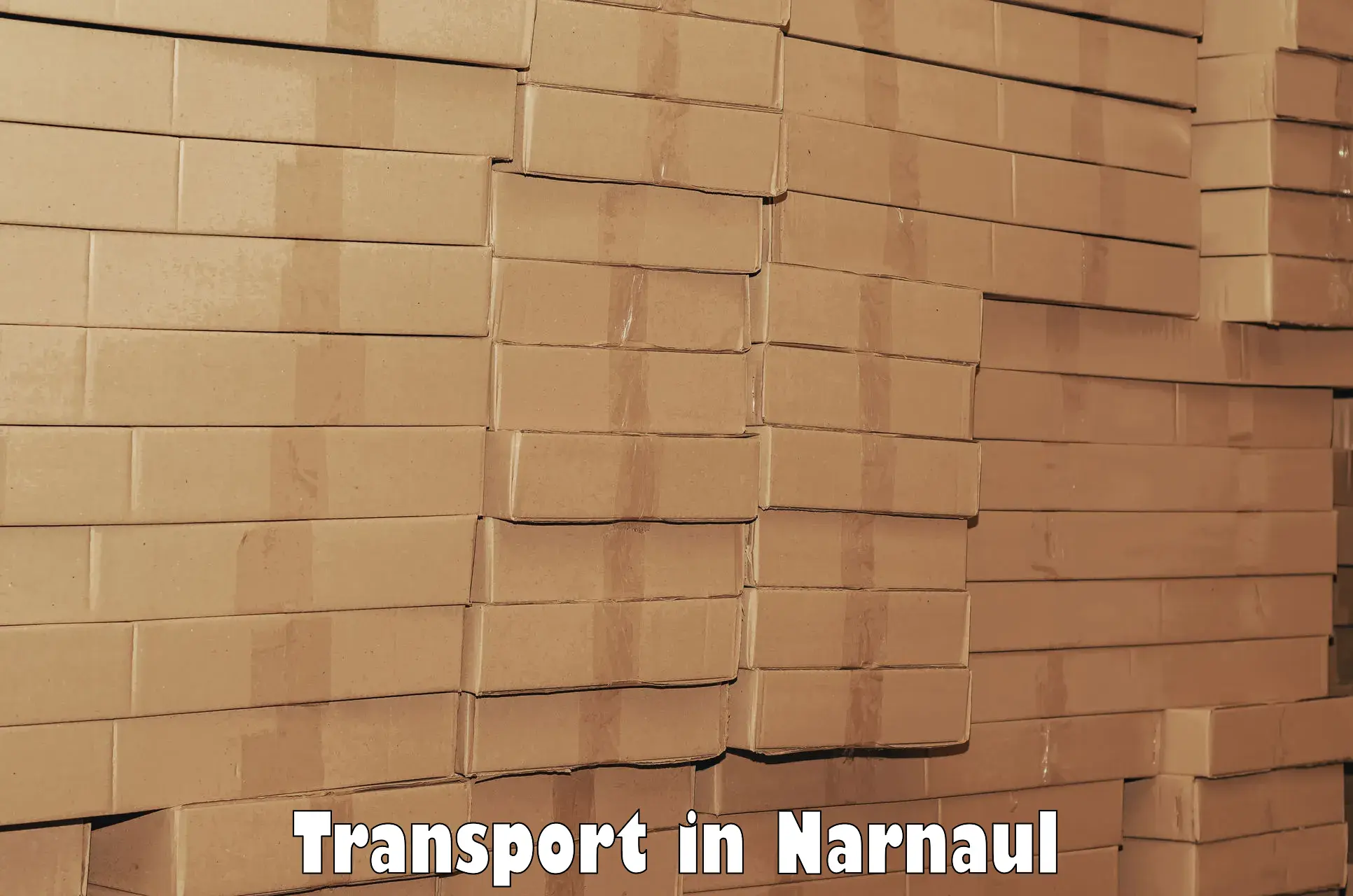 International cargo transportation services in Narnaul
