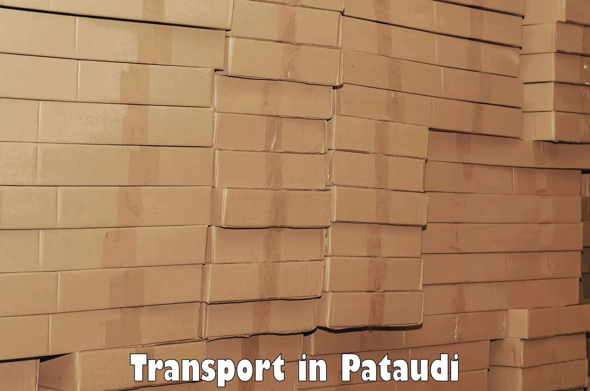 Parcel transport services in Pataudi