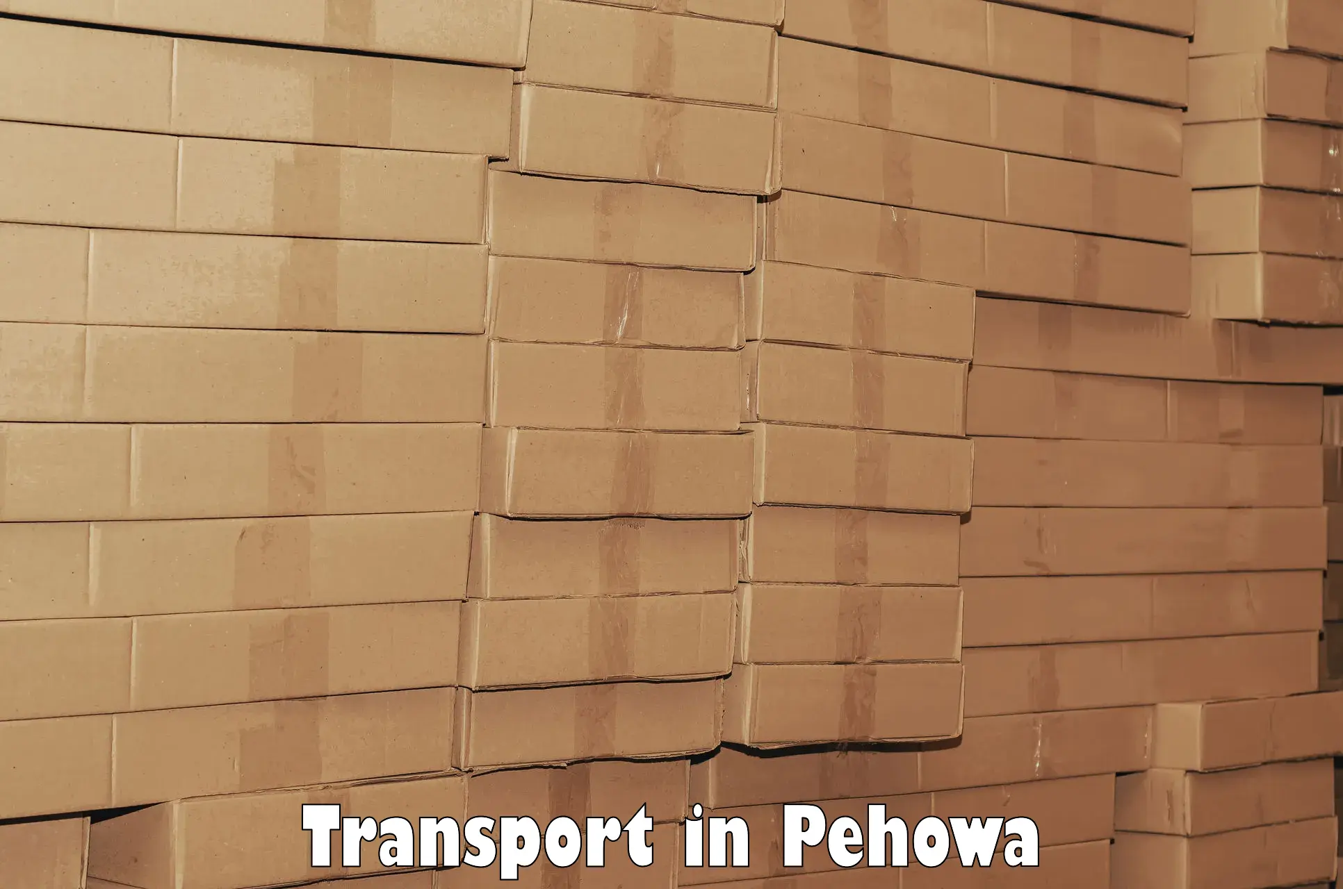 Container transportation services in Pehowa