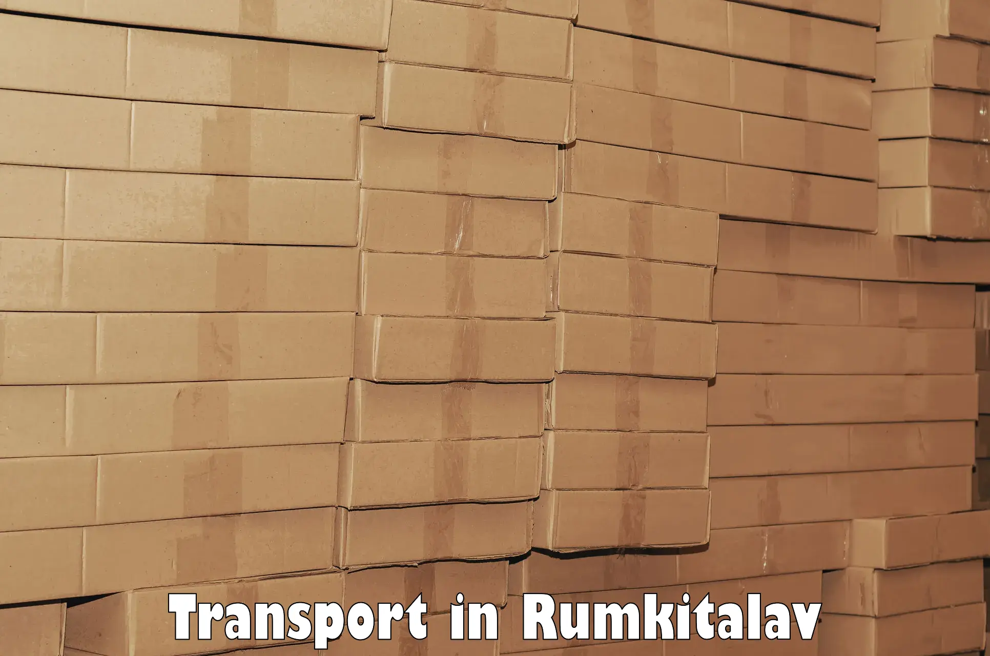 Road transport online services in Rumkitalav