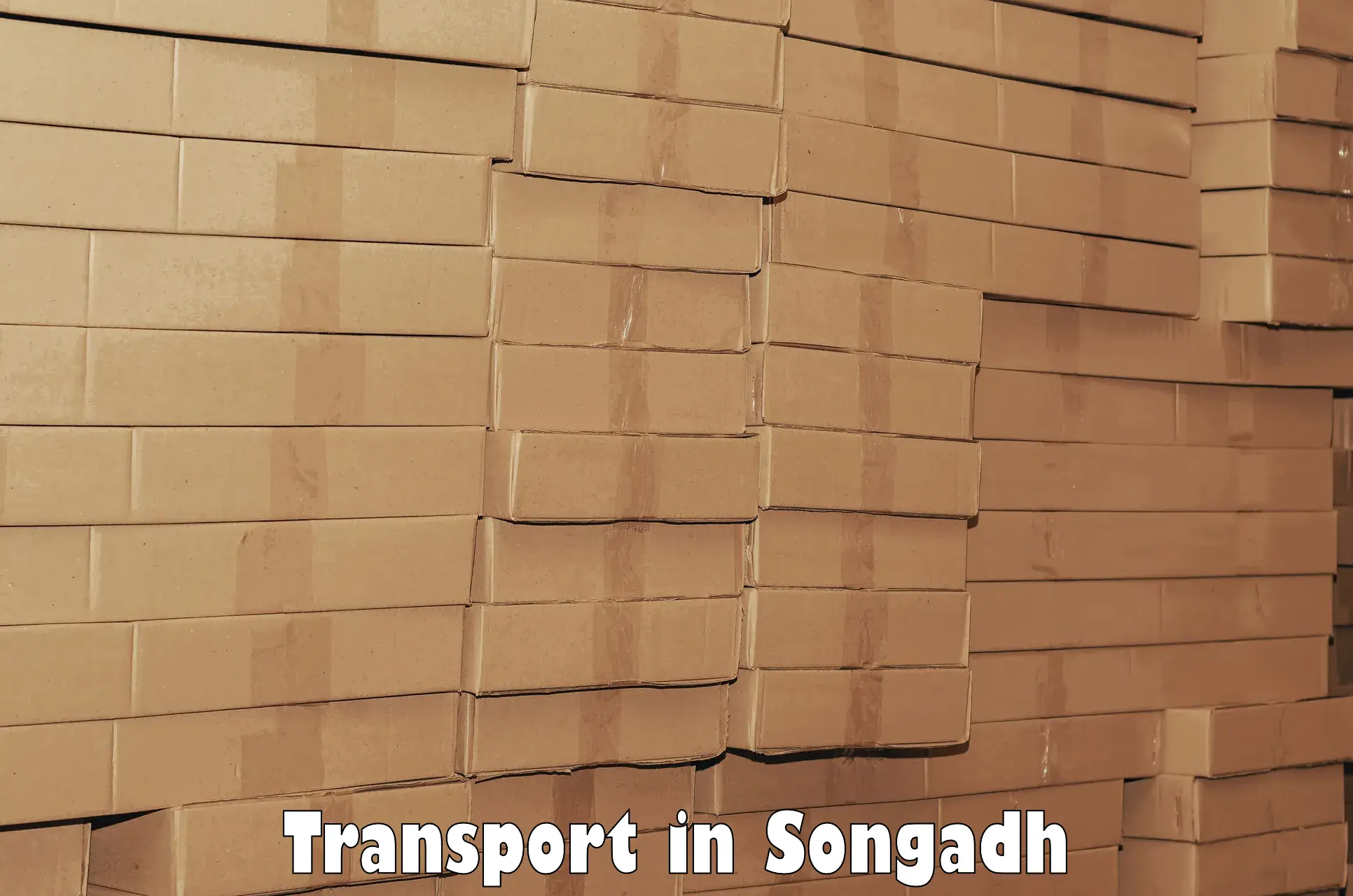 Luggage transport services in Songadh