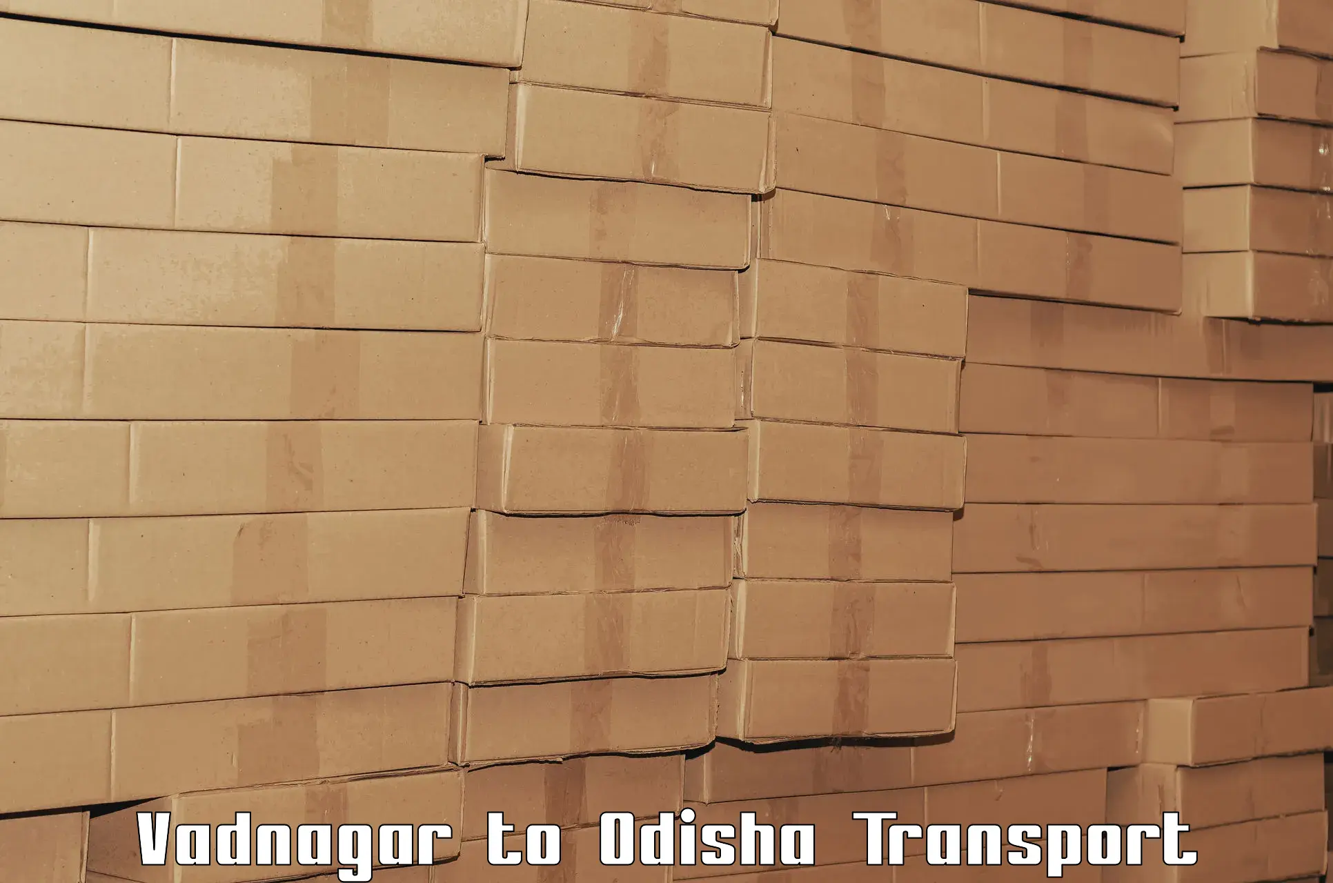 Cargo transport services in Vadnagar to Bargarh
