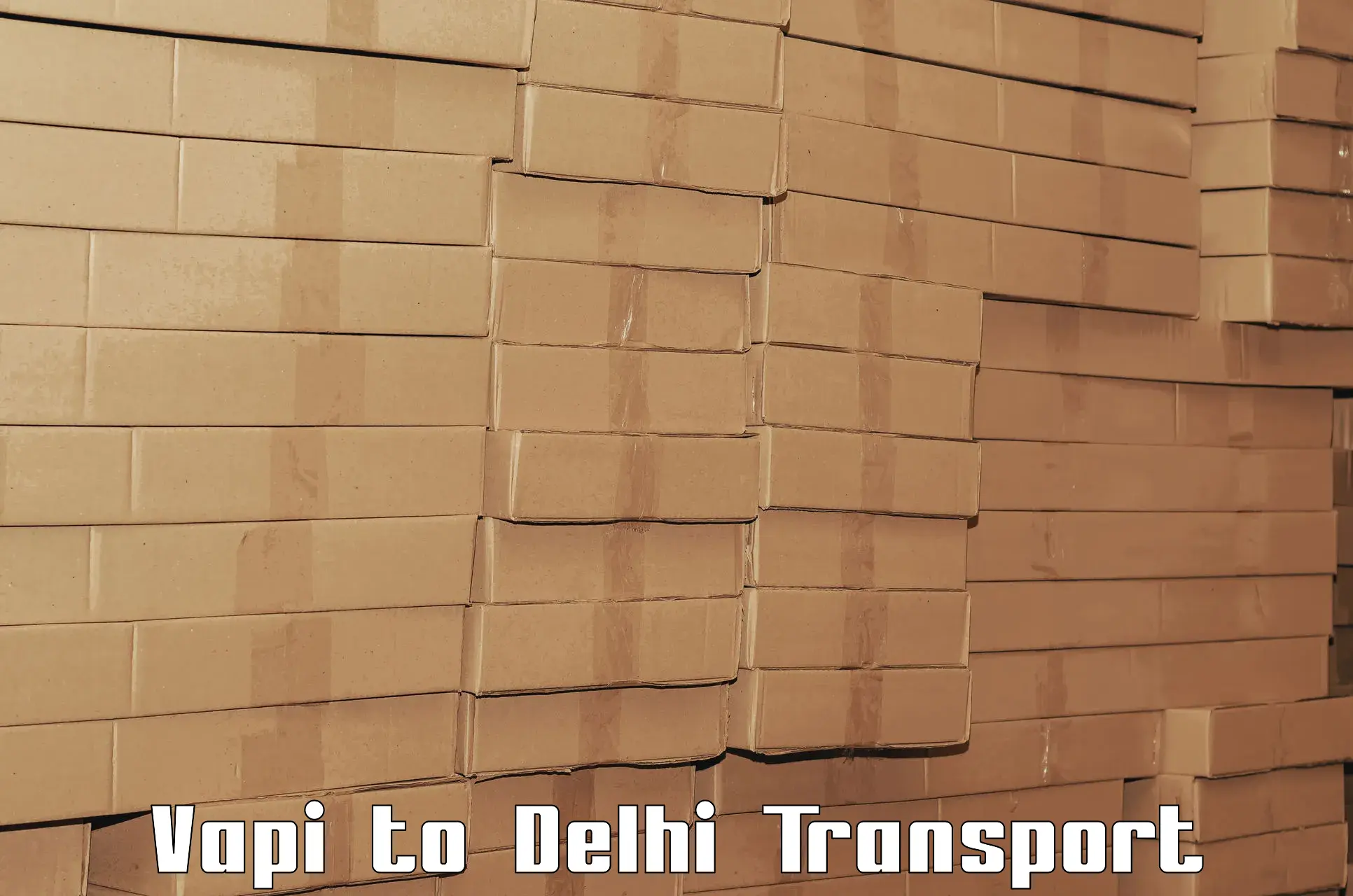 Air cargo transport services Vapi to Delhi