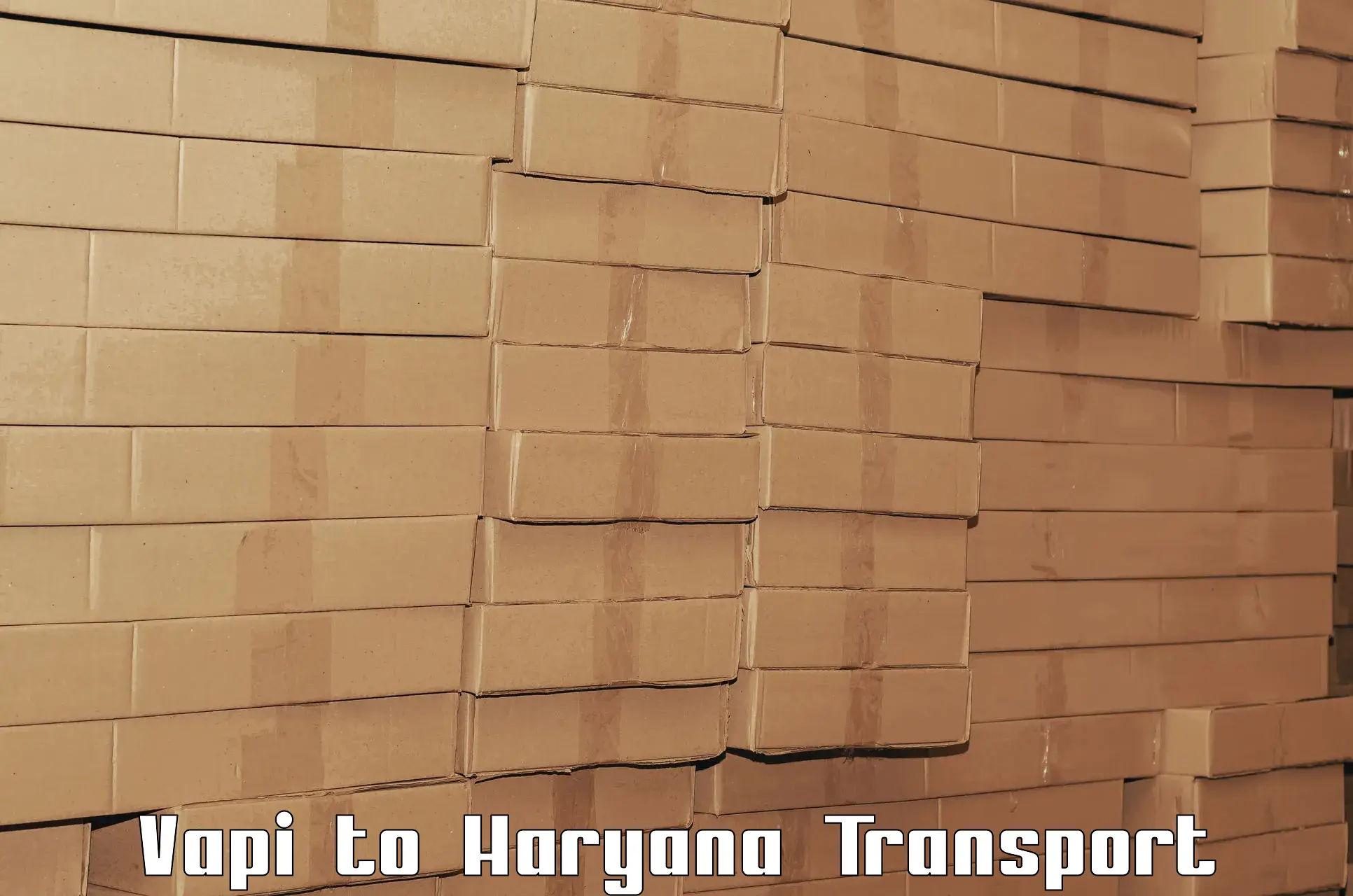 Cargo transport services Vapi to Gurugram