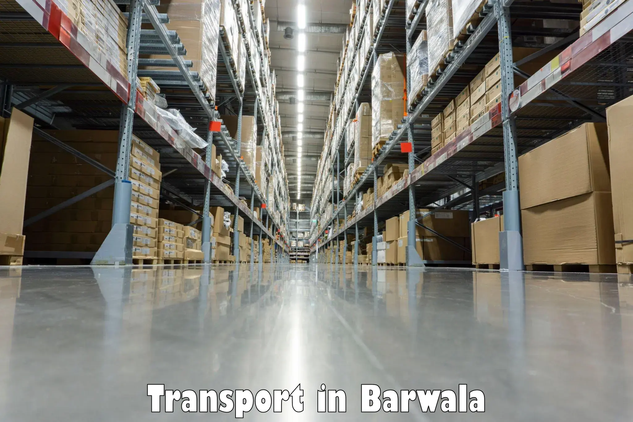 Air freight transport services in Barwala