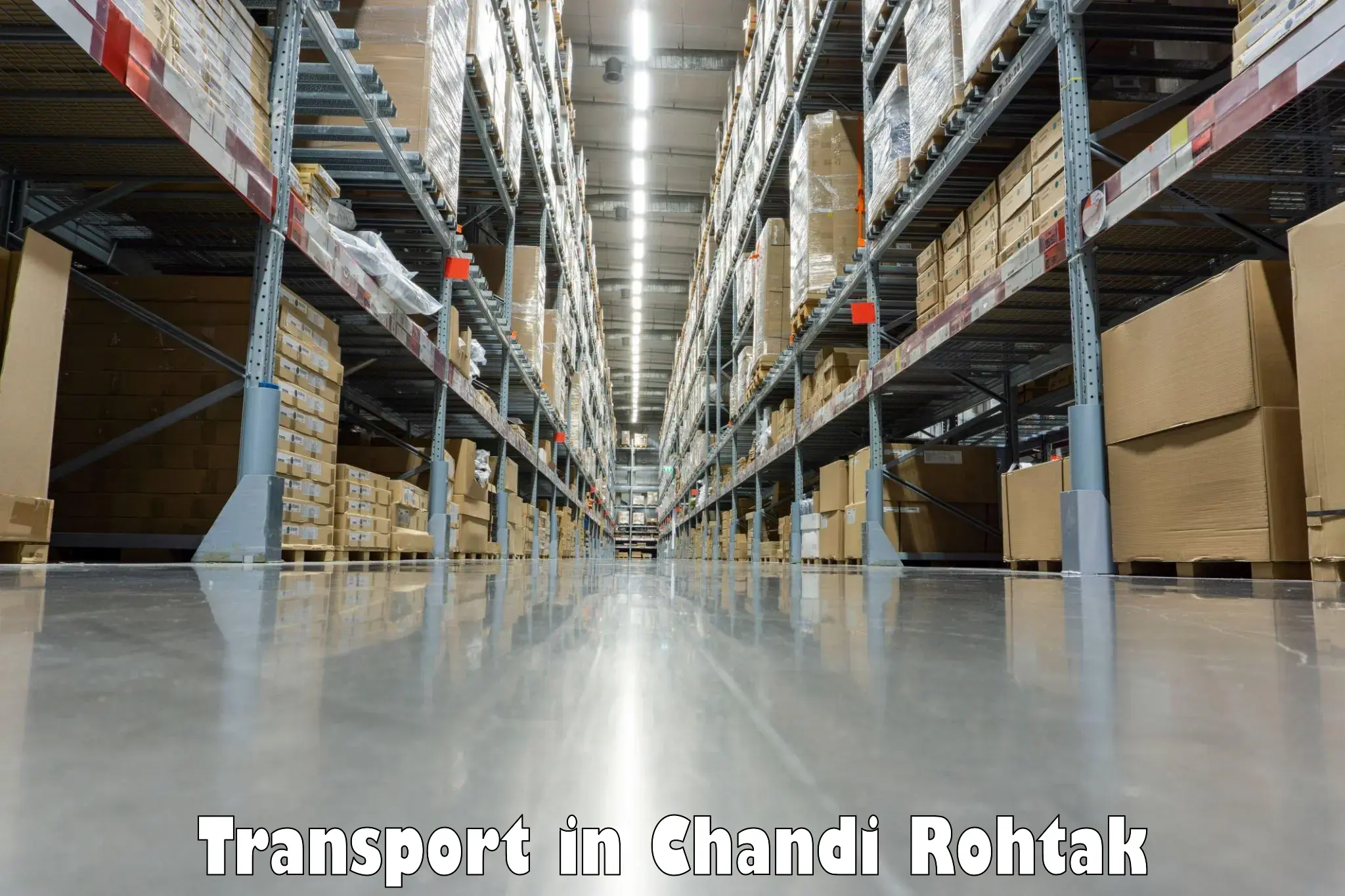Luggage transport services in Chandi Rohtak