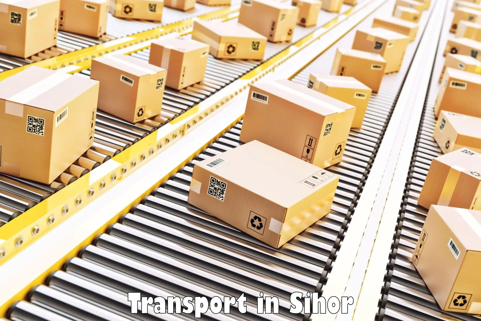 Cargo train transport services in Sihor