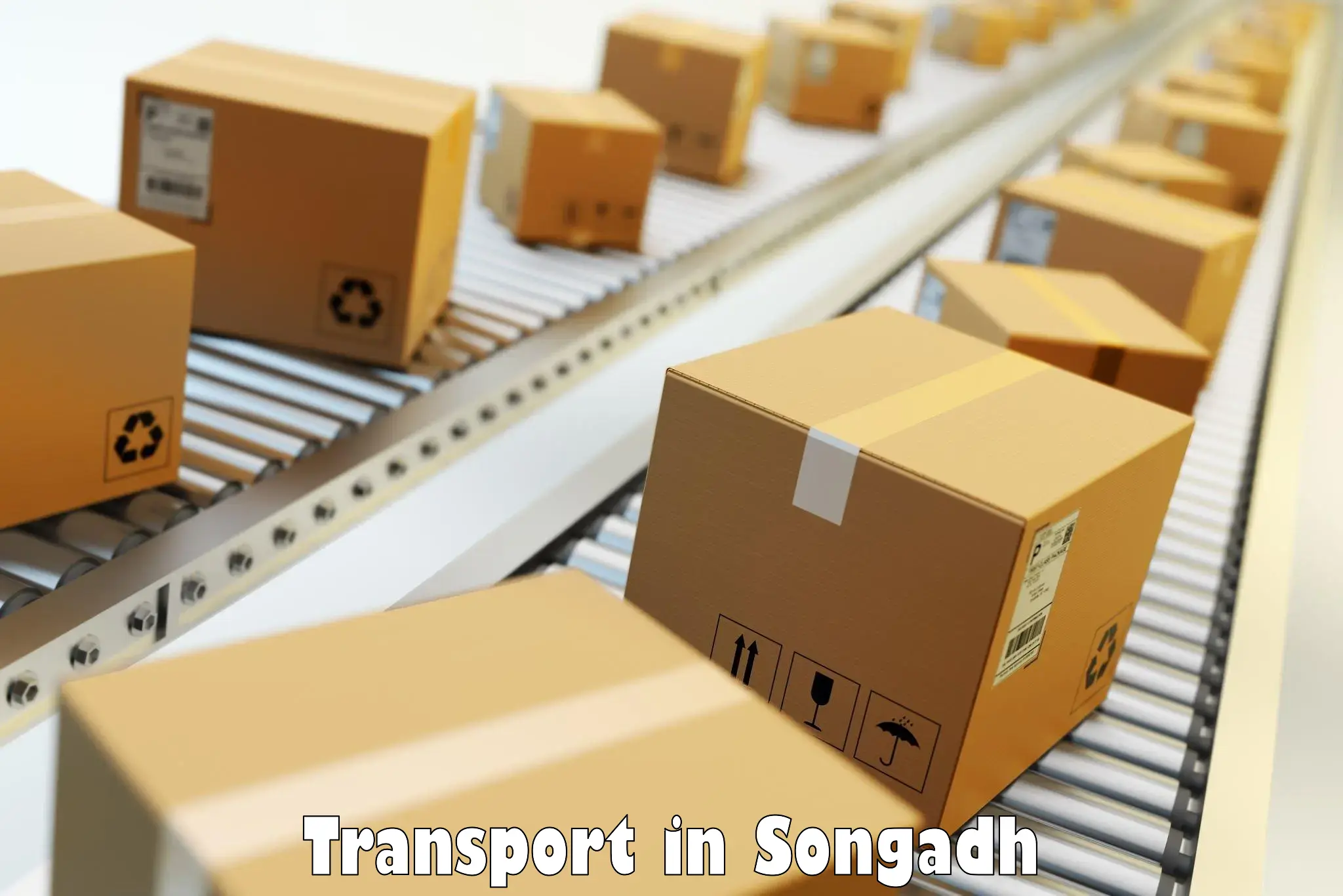 Parcel transport services in Songadh