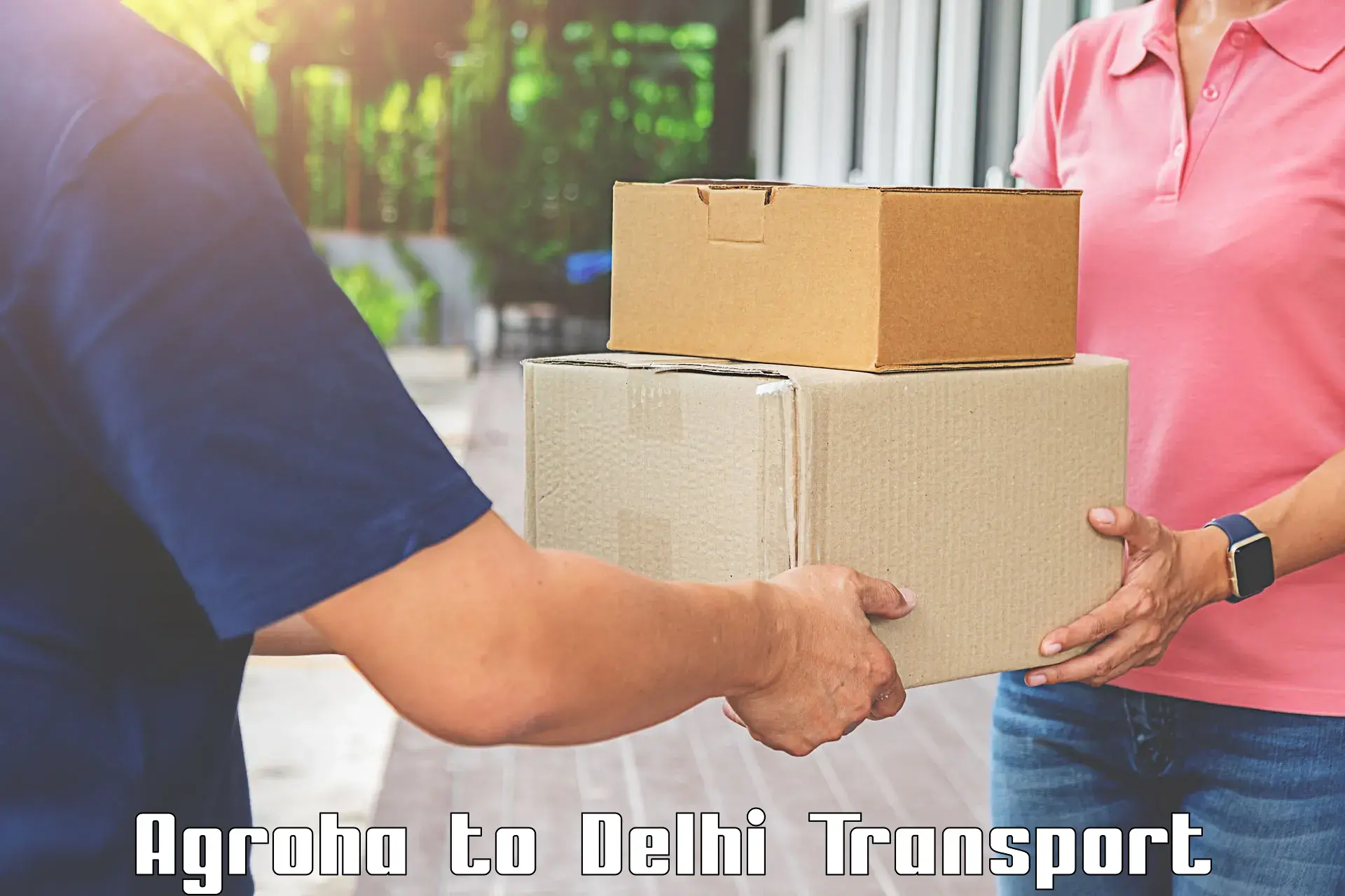 Domestic goods transportation services Agroha to Lodhi Road