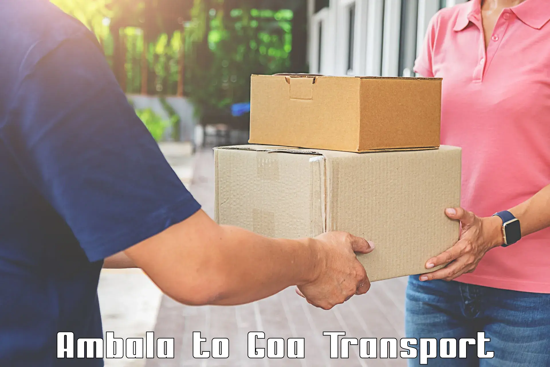 Cargo transportation services Ambala to Canacona